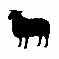 ~Nois is an amiable, compelling invitation to avant-gardism.