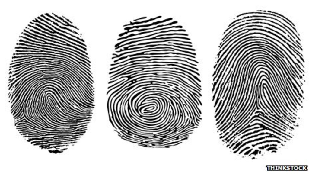 _63146121_fingerprint_types.jpg