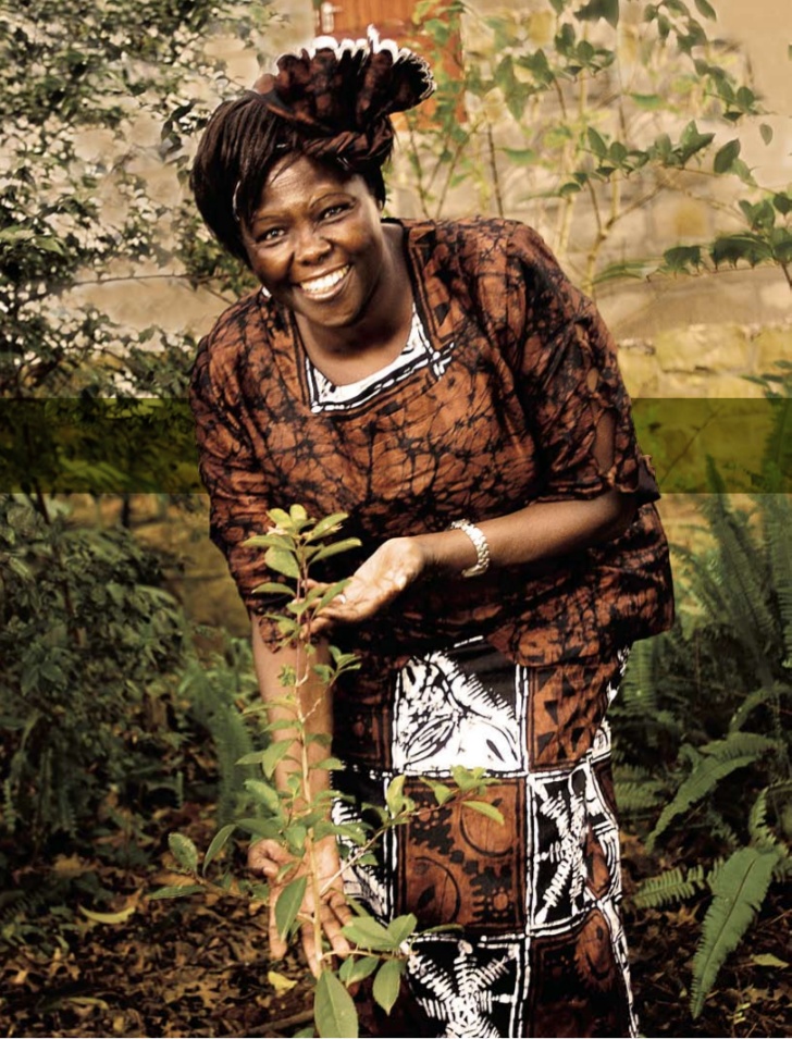 wangari-maathai-1-728.jpg