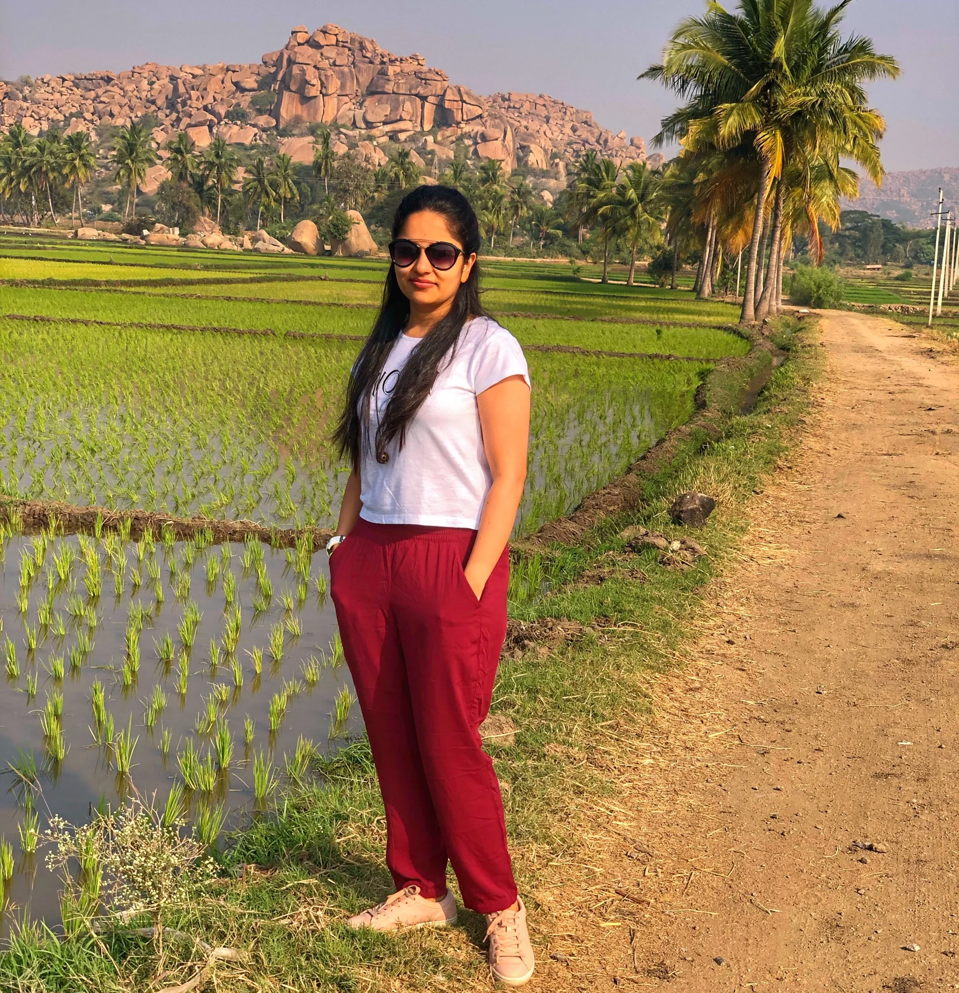 Paddy fields around Hampi