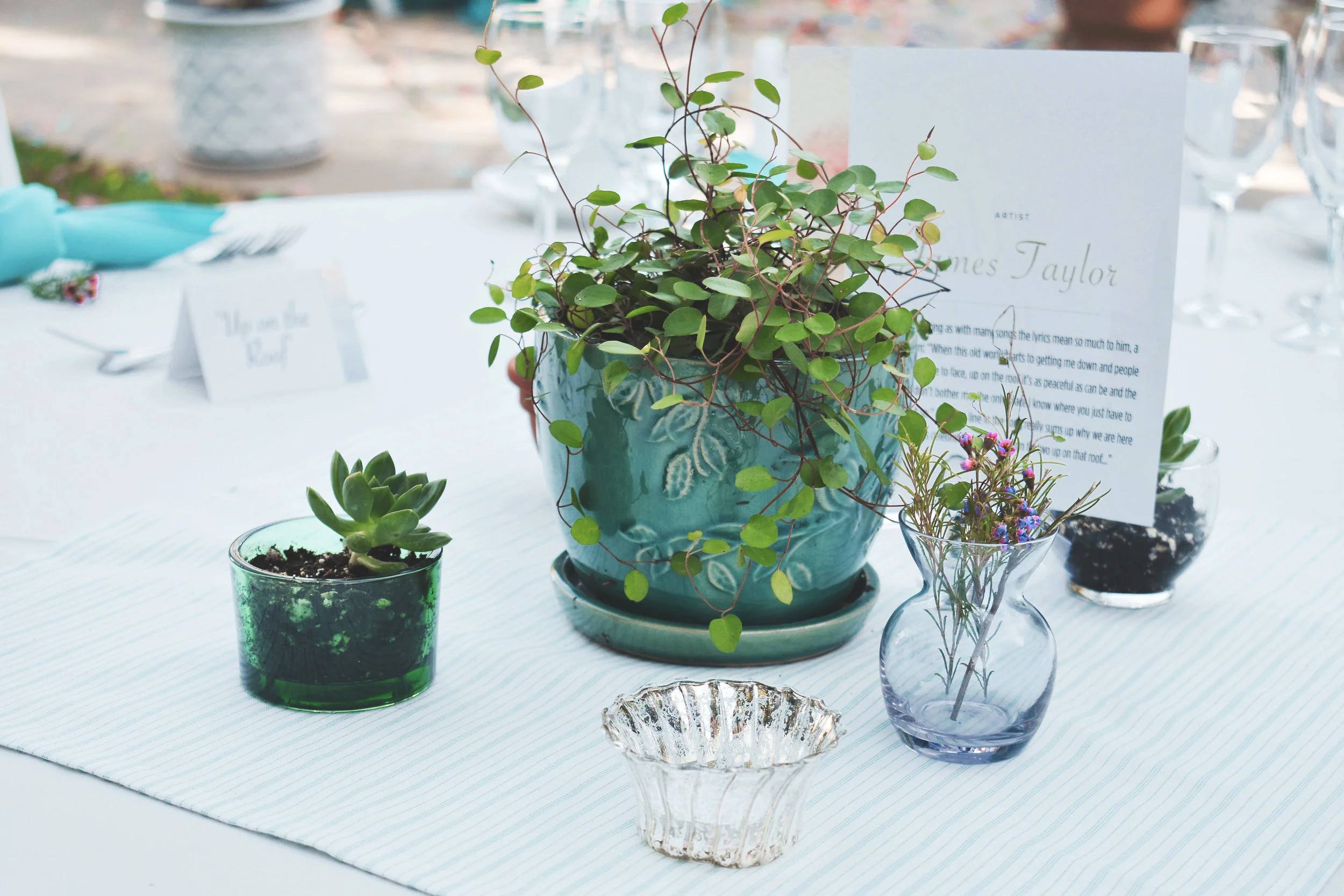 live centerpieces guests can take home #lrqcfloral #liveplants 