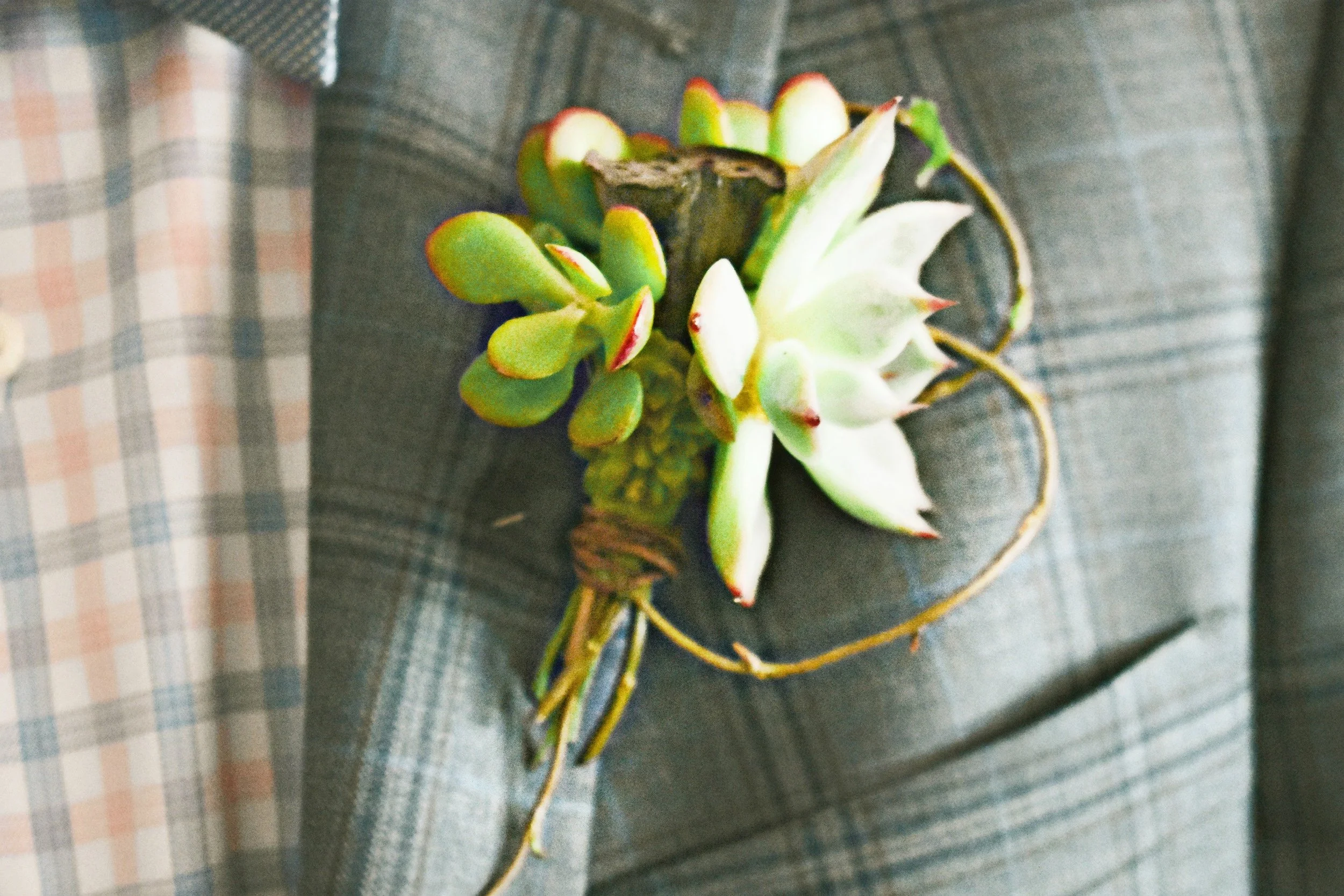 #lrqcfloral