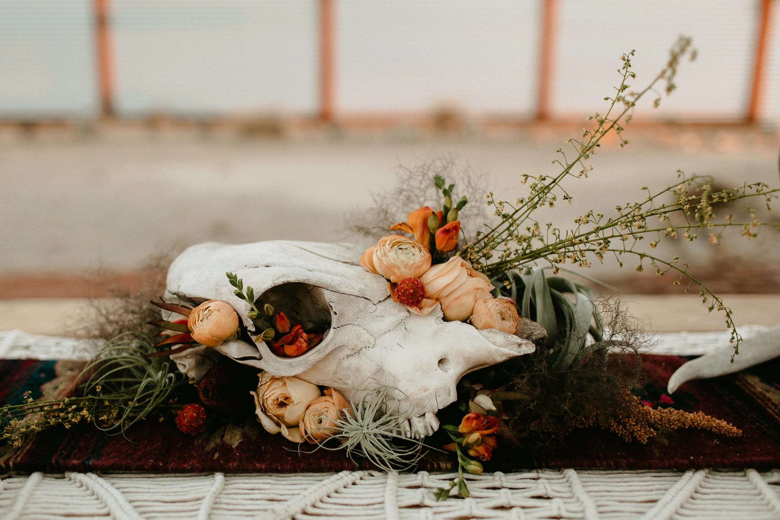 skull centerpiece with airplant #lrqcfloral #airplant