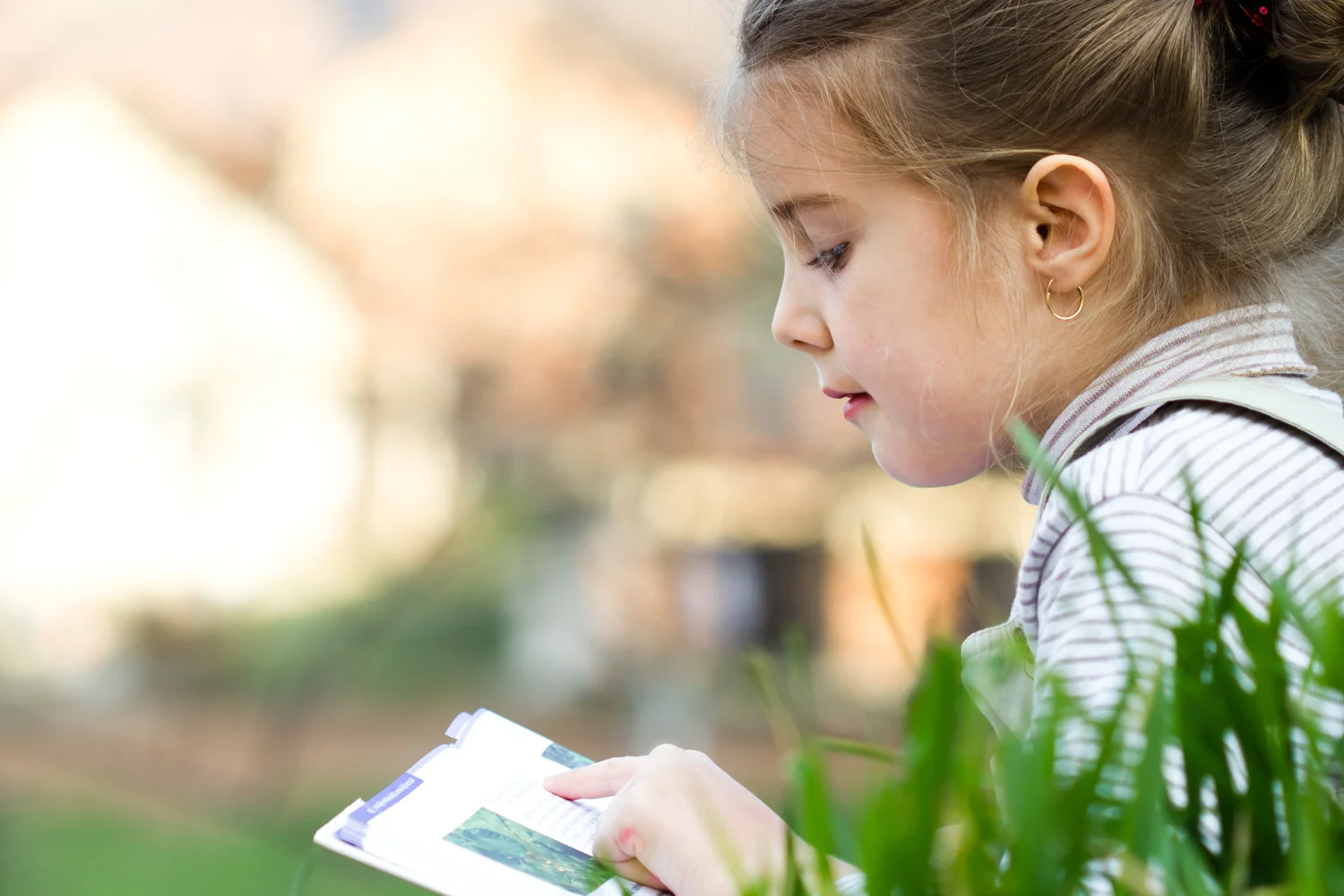 Building schools.jpg