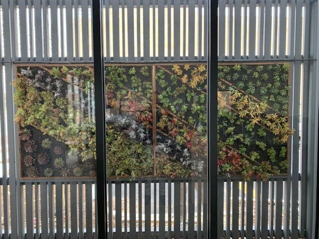 rockingham garden wall 12.jpg