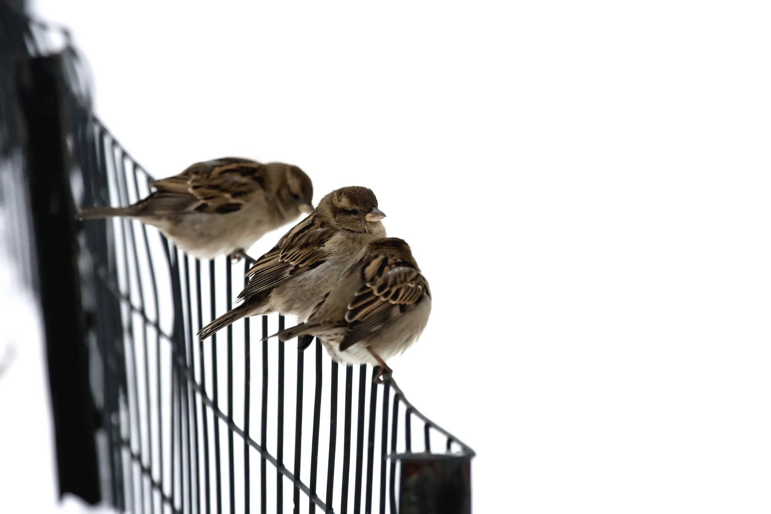 Are your partners sitting on the fence?