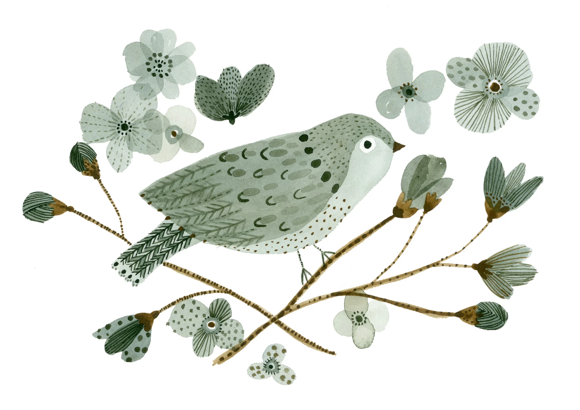 Bluebird_2_b.jpg