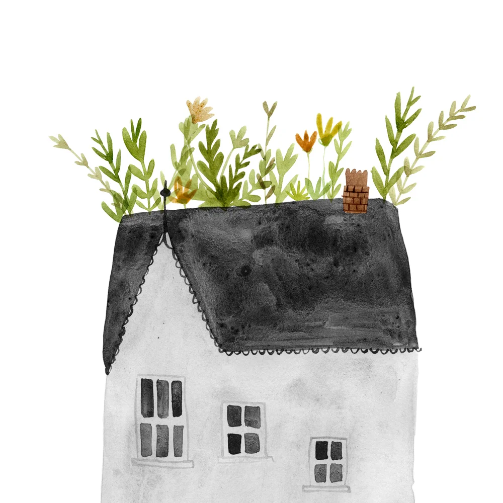 rooftop_garden_3.jpg