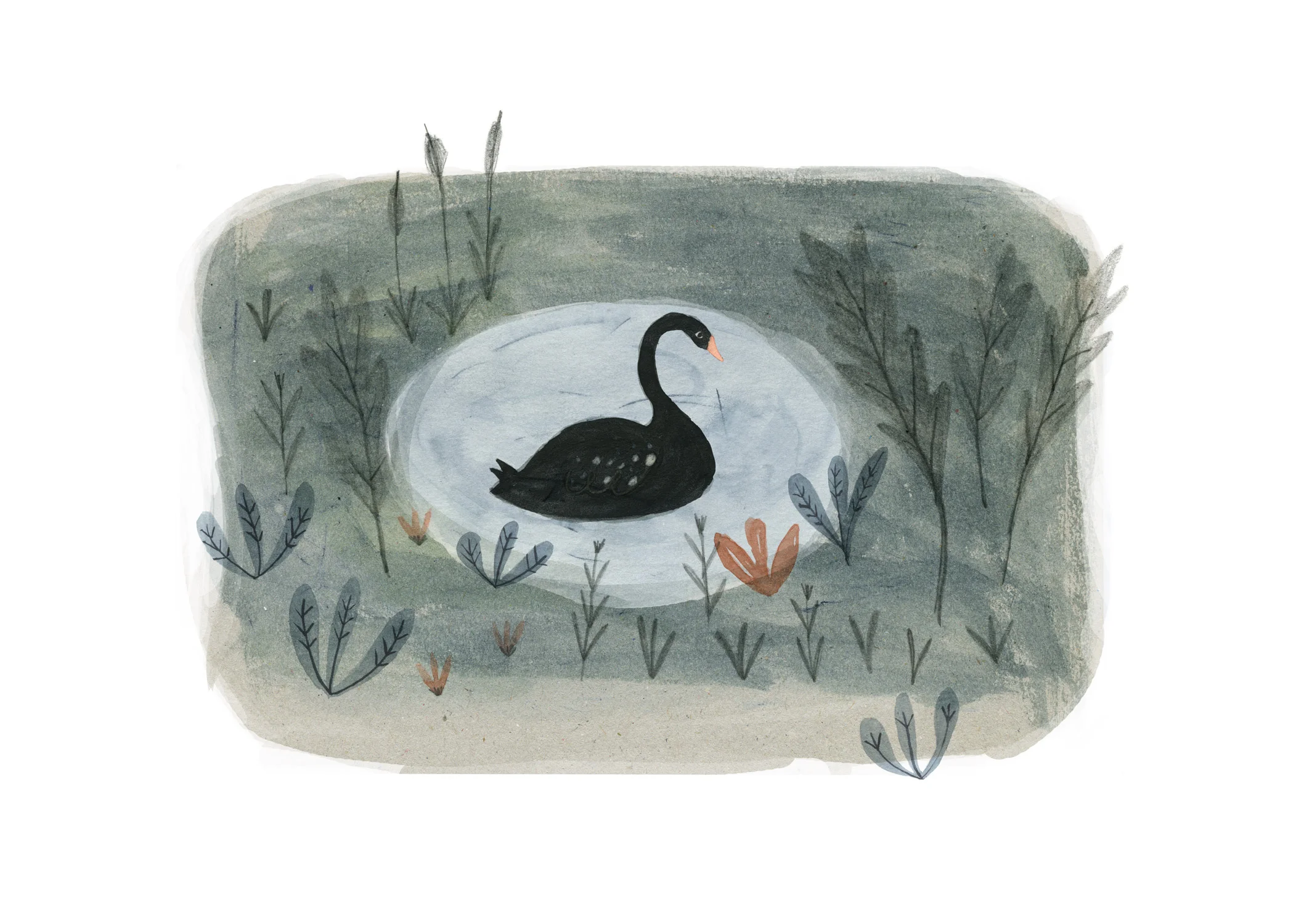 swan_2.jpg