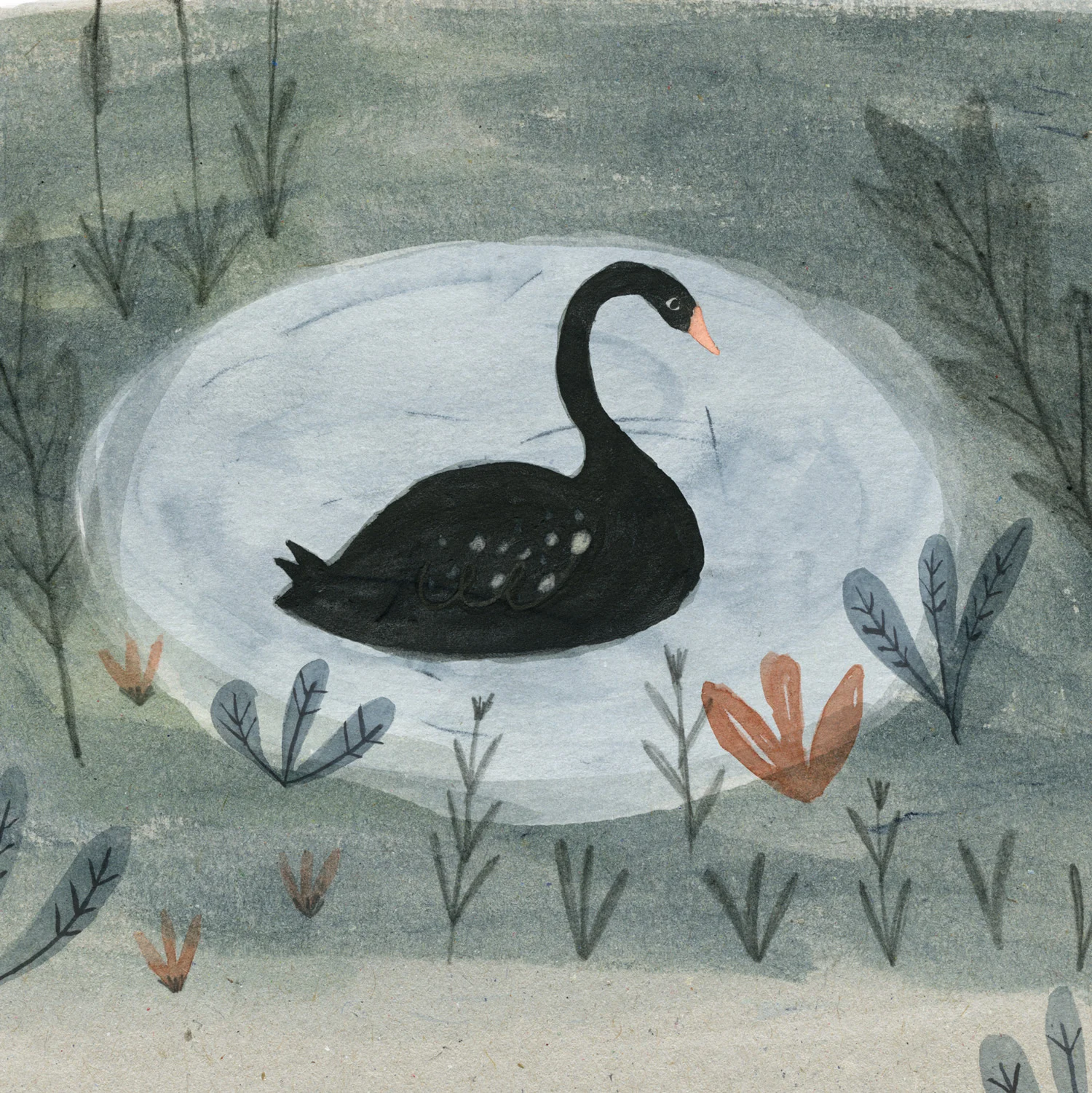 swan_1.jpg