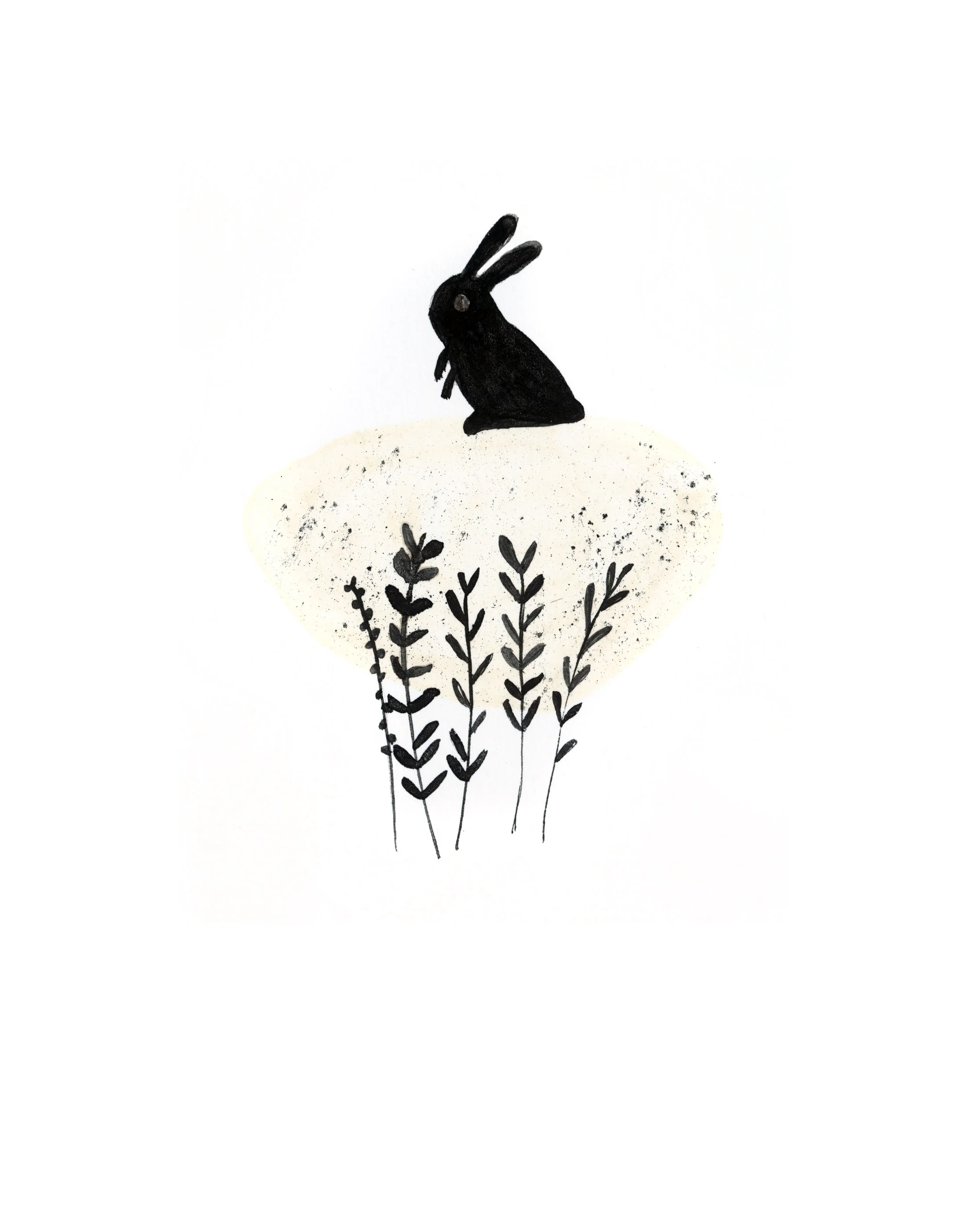 rabbit_2.jpg