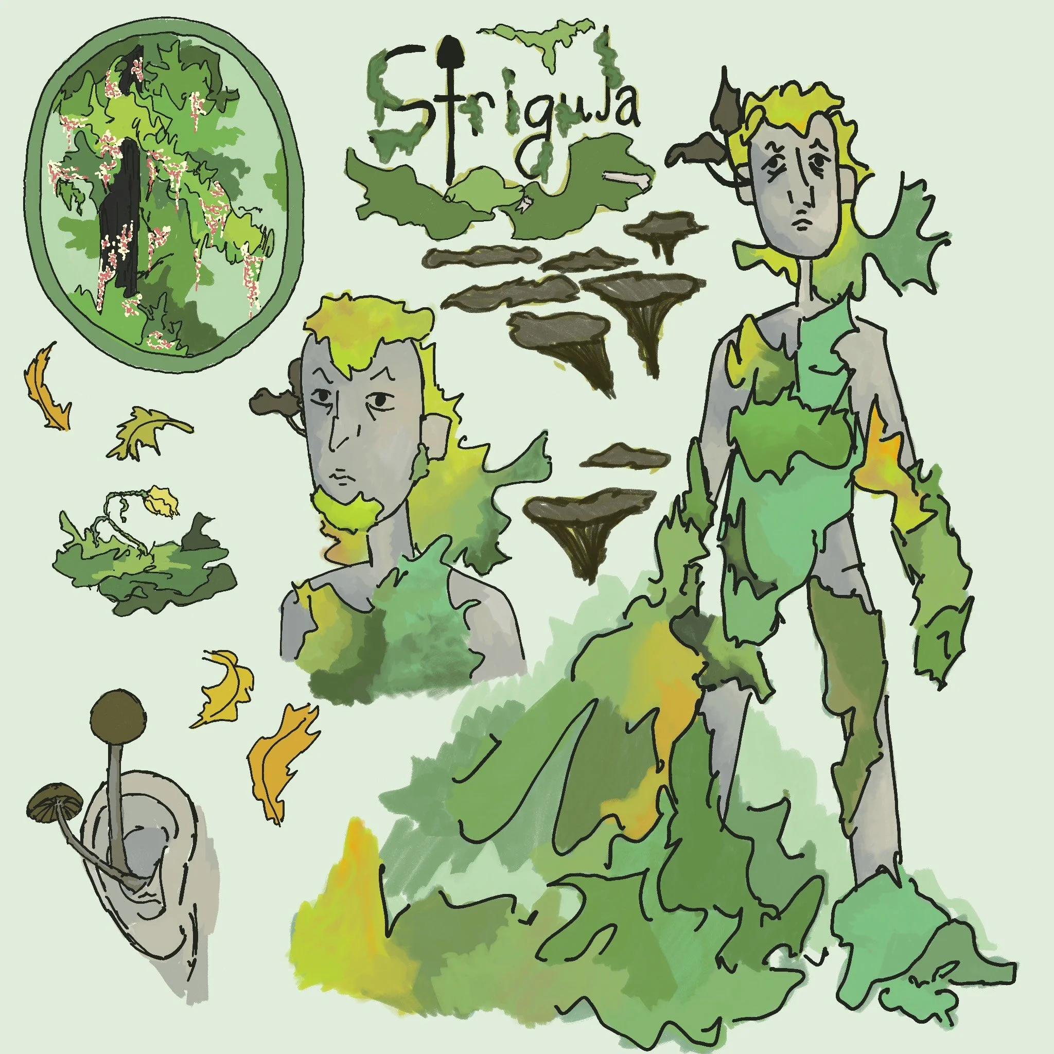  Character Disgn Sheet Animation 2026 