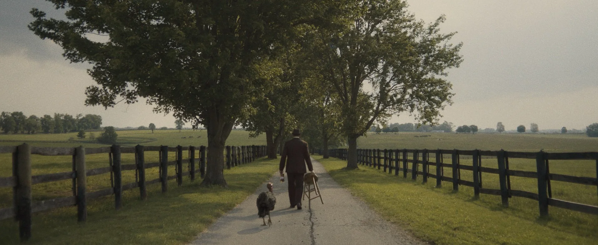 Wild Turkey // Draw The Line -- Dir: Kiku Ohe // Co: Superprime