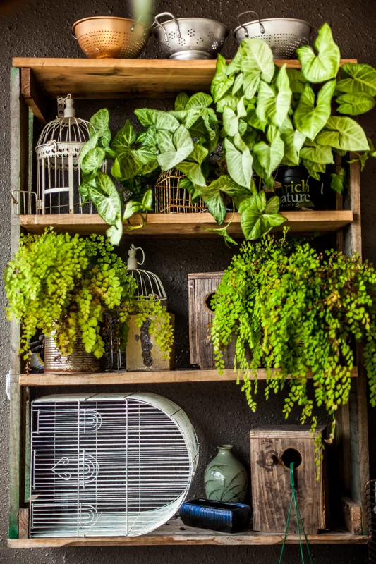 Two Birds Eatery.jpg