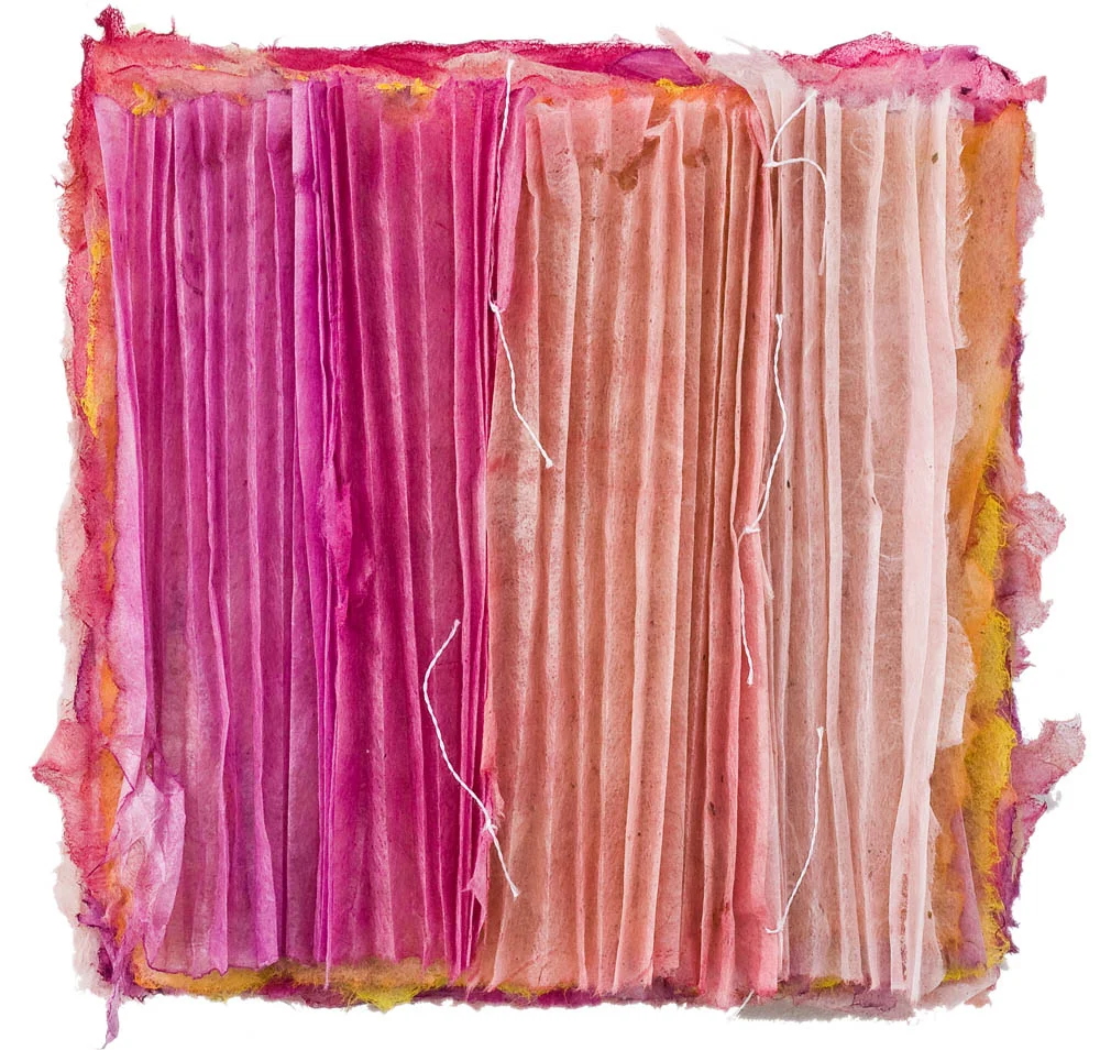 Pink Pleats 2009