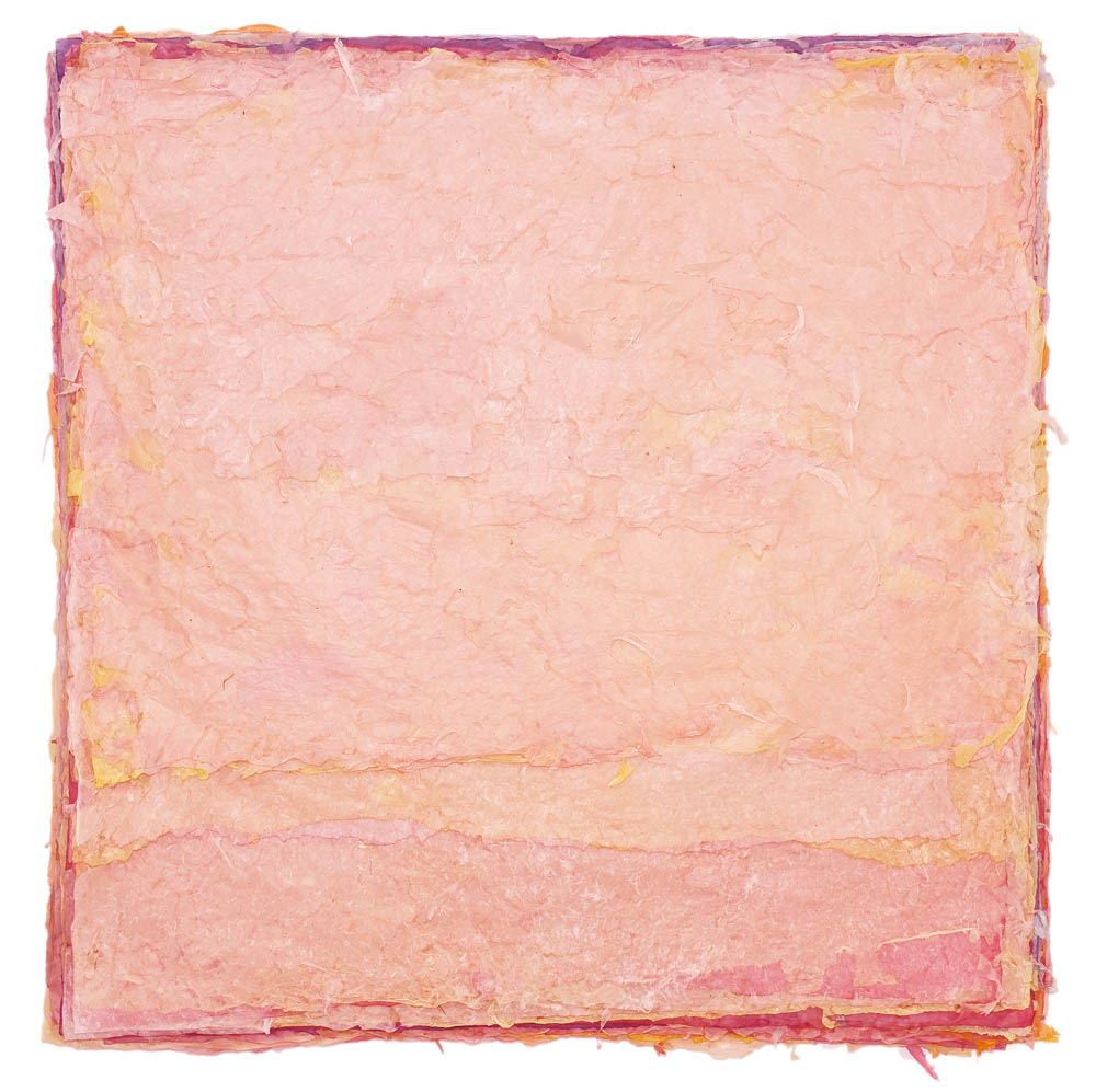 First Light 2009