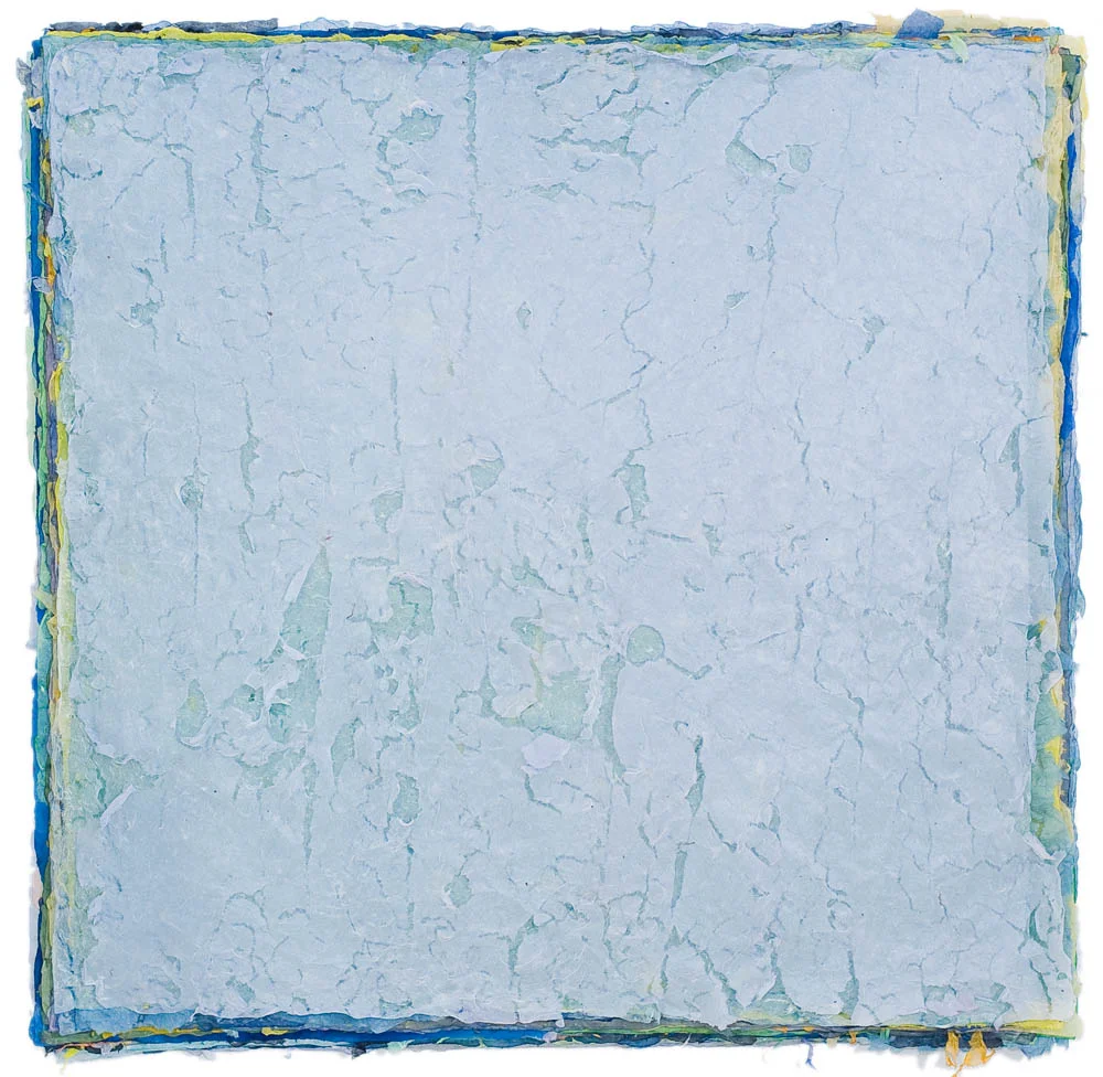 Breeze 2009
