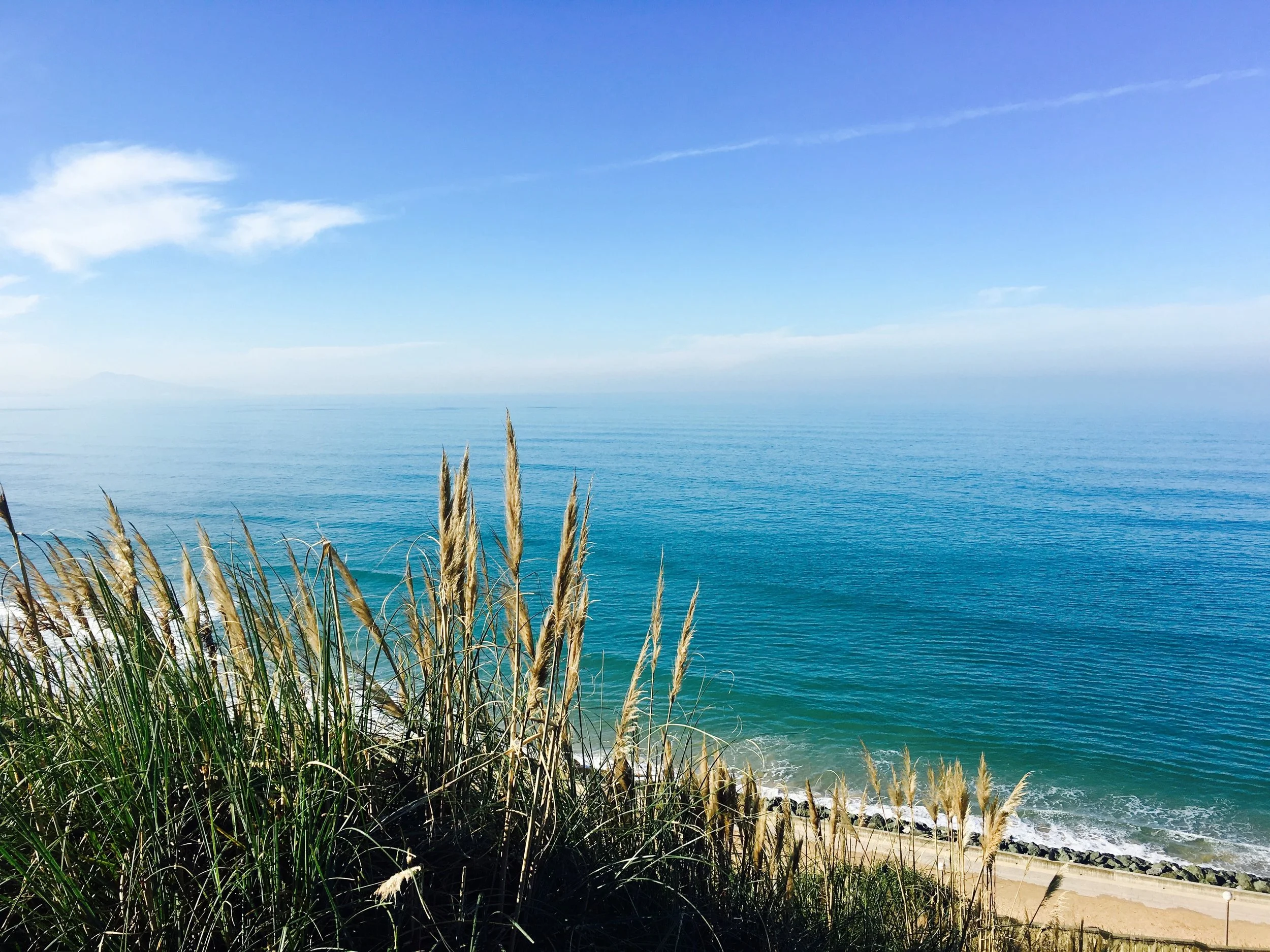 COTE DE BASQUE_BIARRITZ.jpg