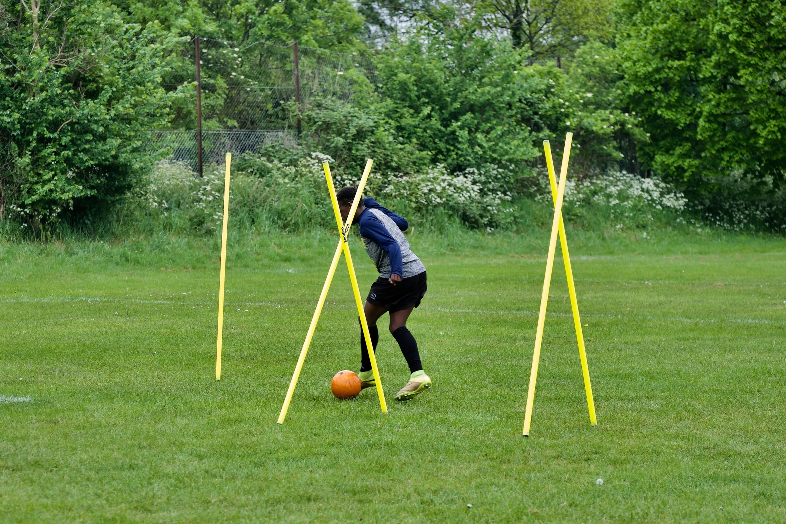 DSCF8514.jpg