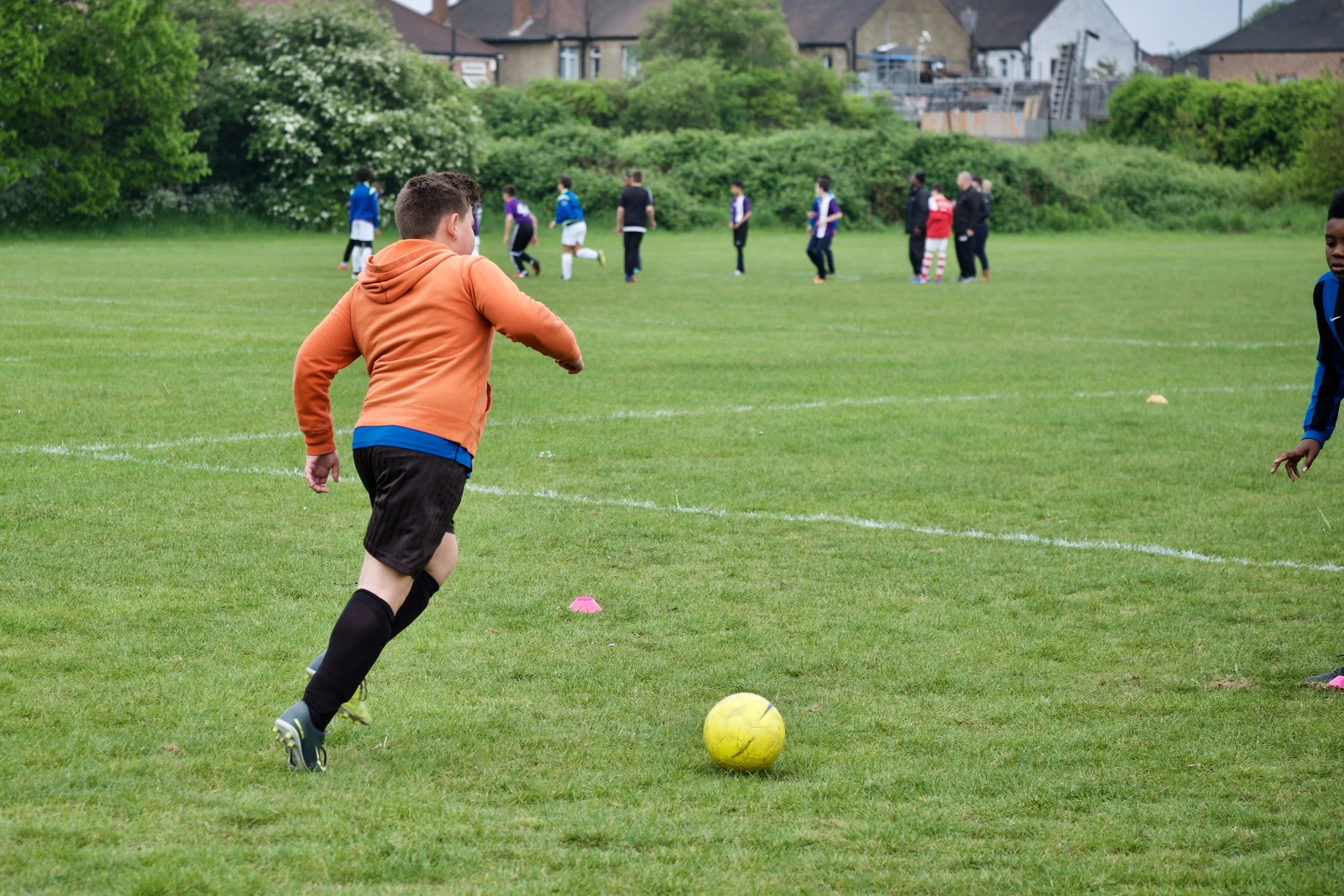 DSCF8542.jpg