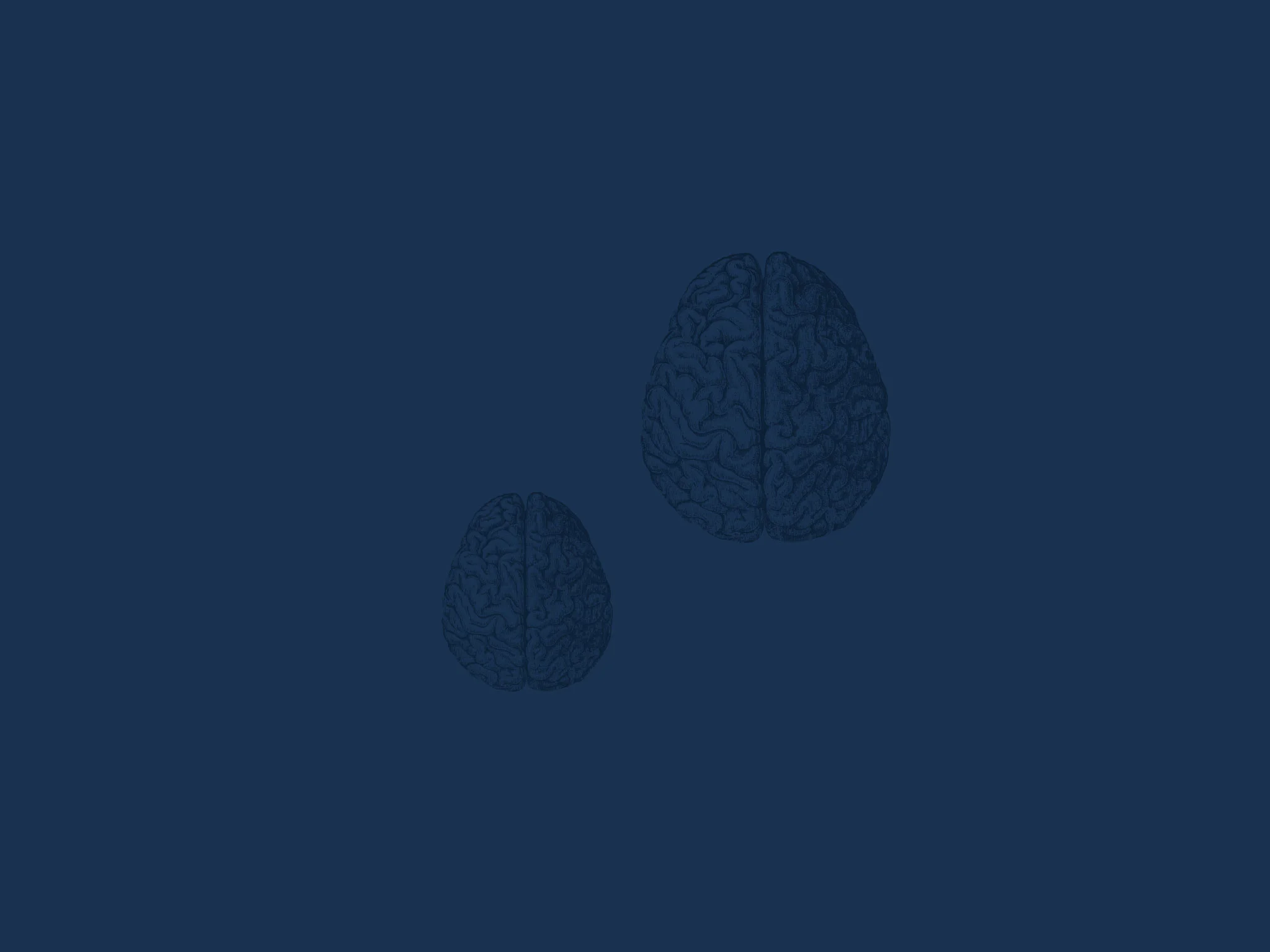 Patiq_header_brain.jpg