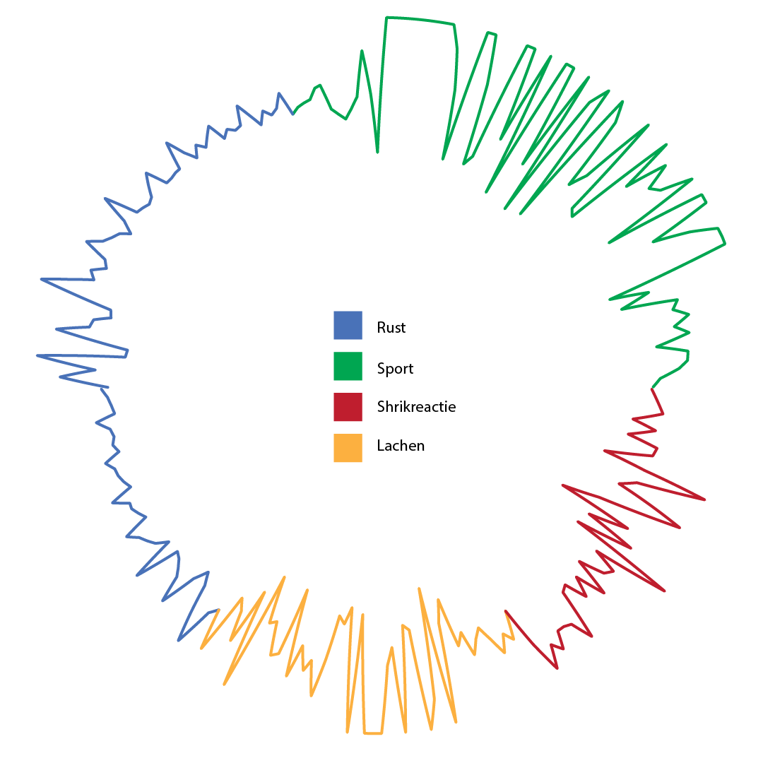 A visualisation of your heartbeat measured during different activities.