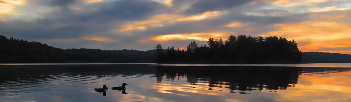 Algonquin Provincial Park Logging Museum