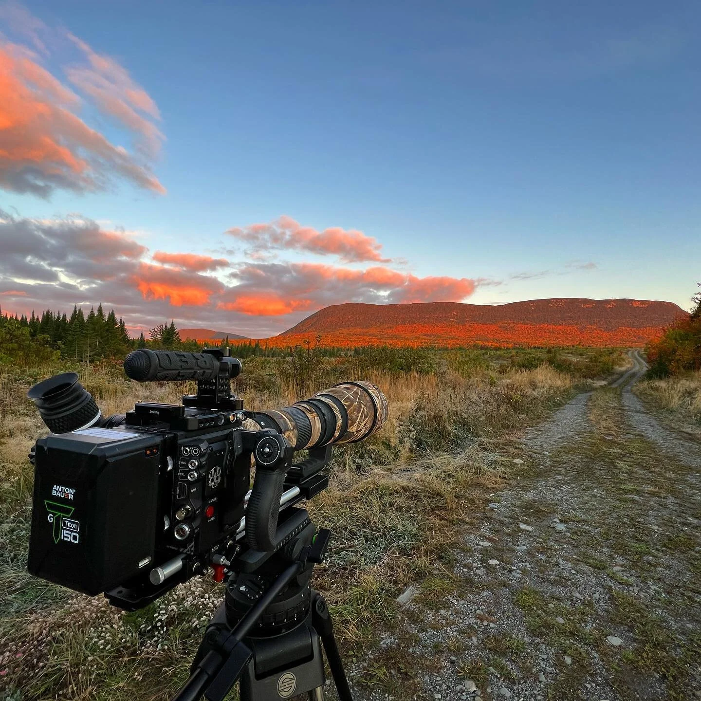 Bad news, good news. My old Sigma 300-800 died the first day of a two week moose shoot. No electronics.

The great folks at Sigma NY were able to update and fix it! Just got it back and it&rsquo;s working like a champ.

#moosecinema #maine #mainefilm