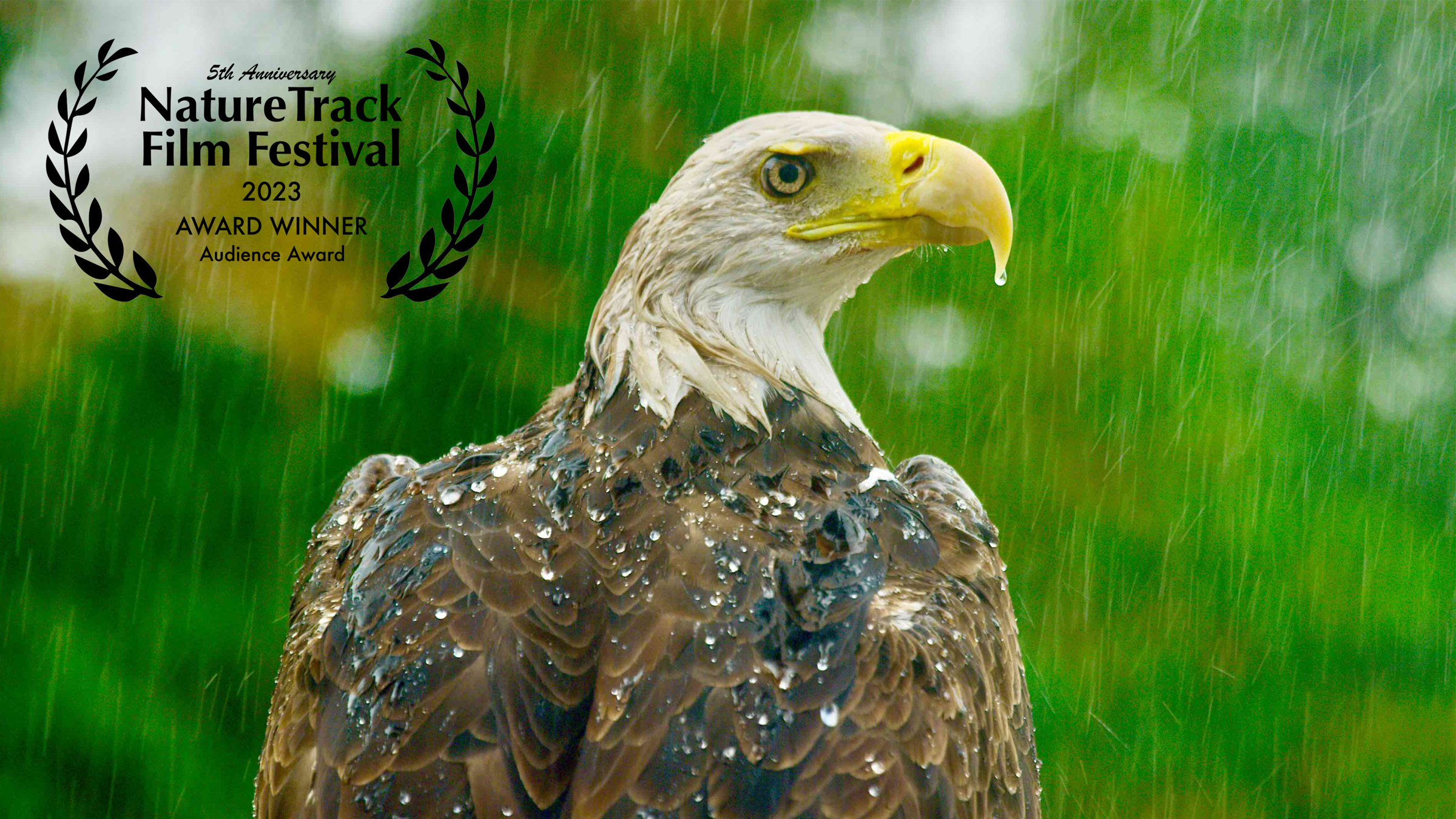  Proud to have been one of the Directors of Photography on this award winning film, Hudson River Wild. Produced by SKYLAND Productions in Austria and RANFILM for ORF, Smithsonian Channel and ARTE. Directed by John K Dutton.  