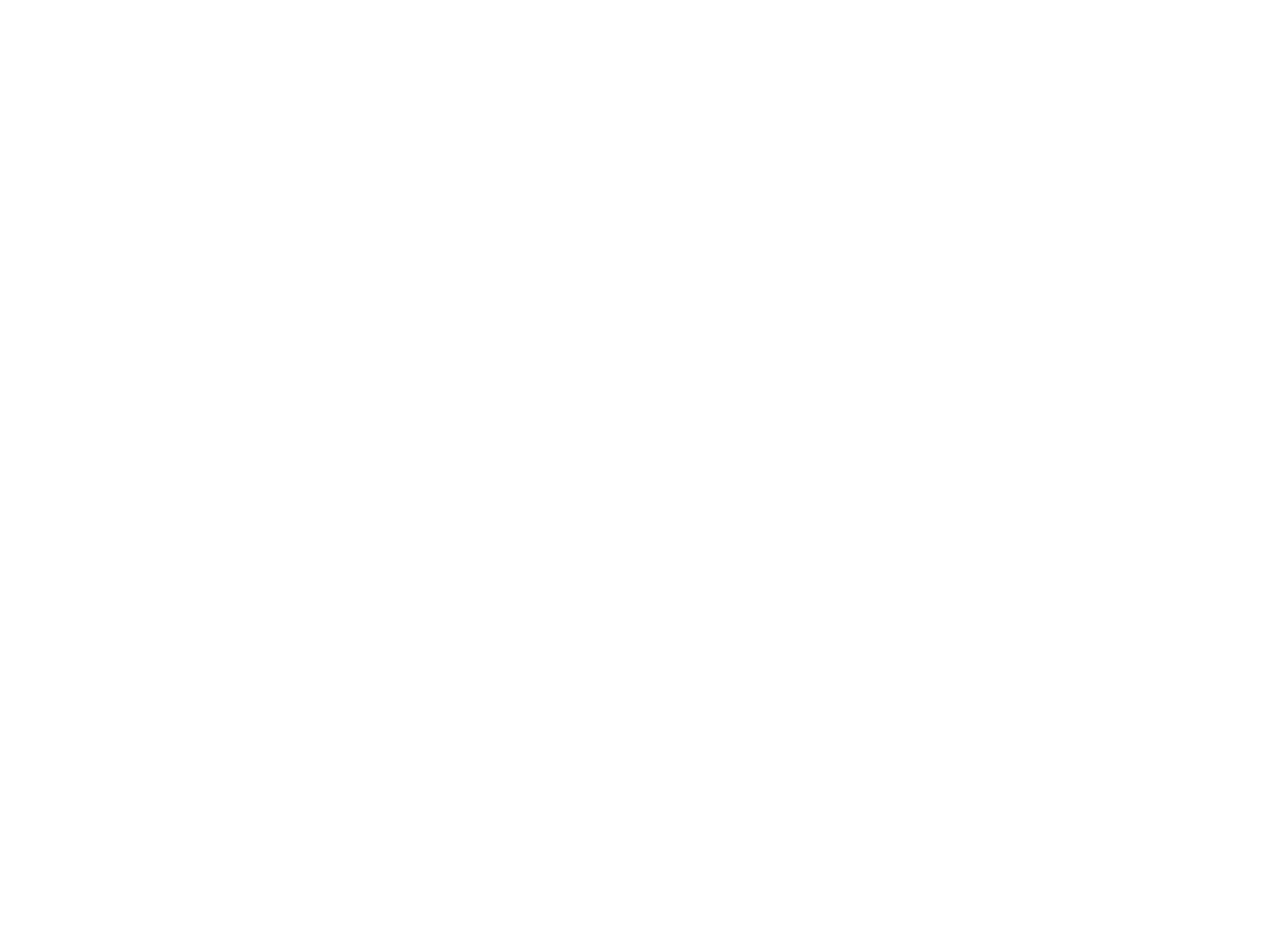 IRON_1-2.png