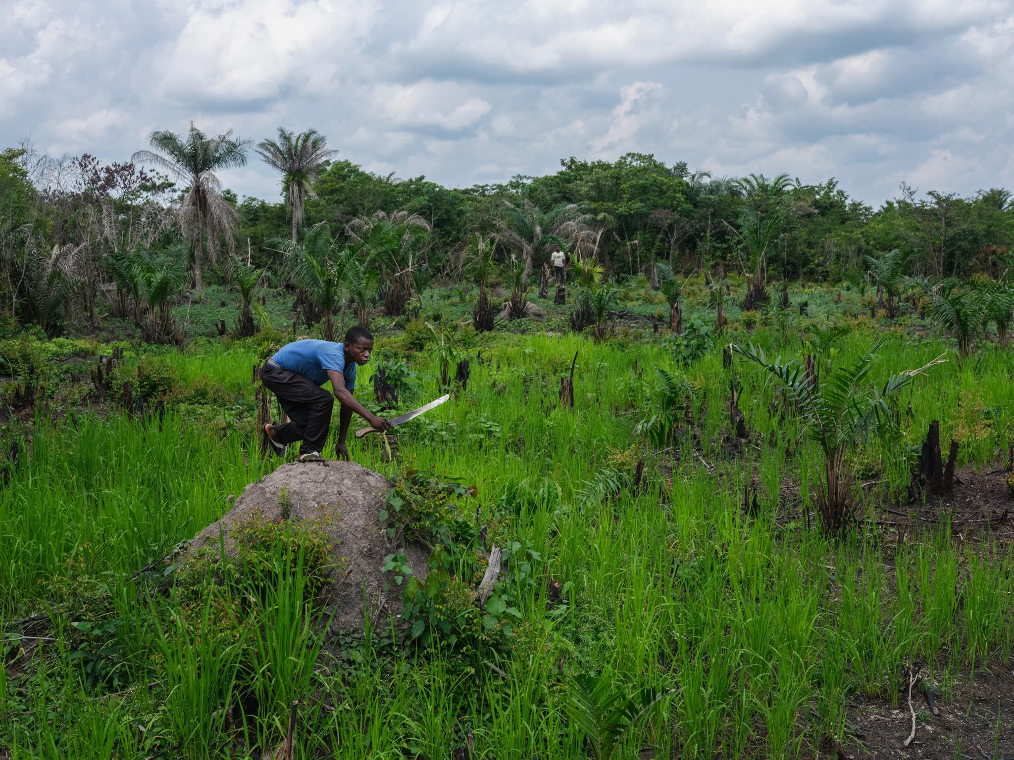NSDRC_210625_CongoBasin01151.JPG