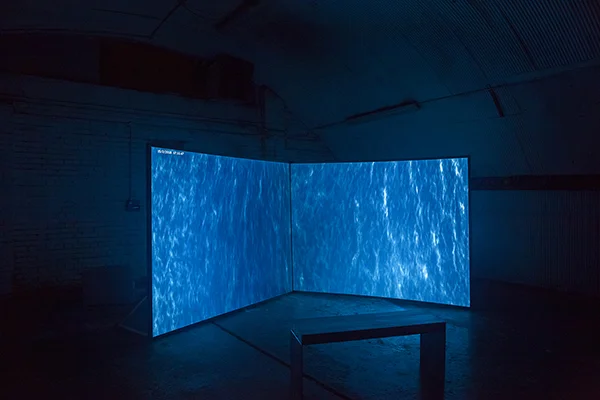   From Space the Planet is blue, from Space the planet is the territory , Sluice, London, 2018 