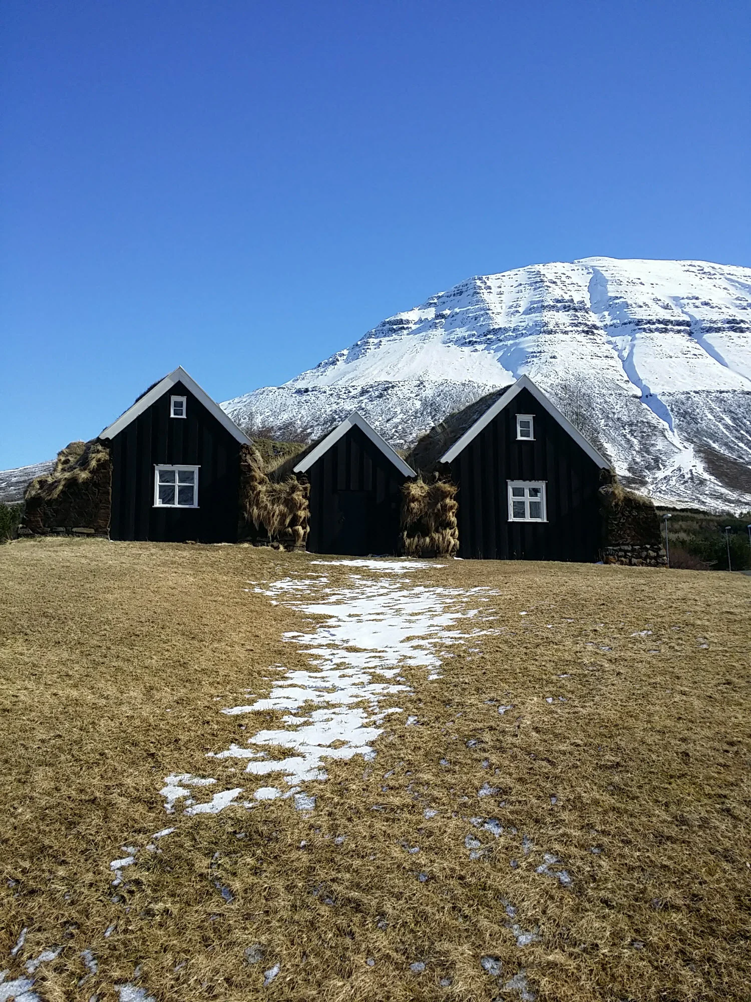 Turfhouse Nýibær