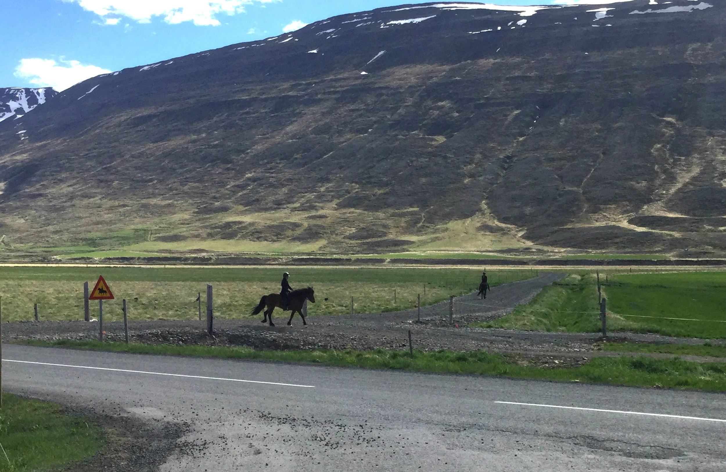 Practicing the gaits