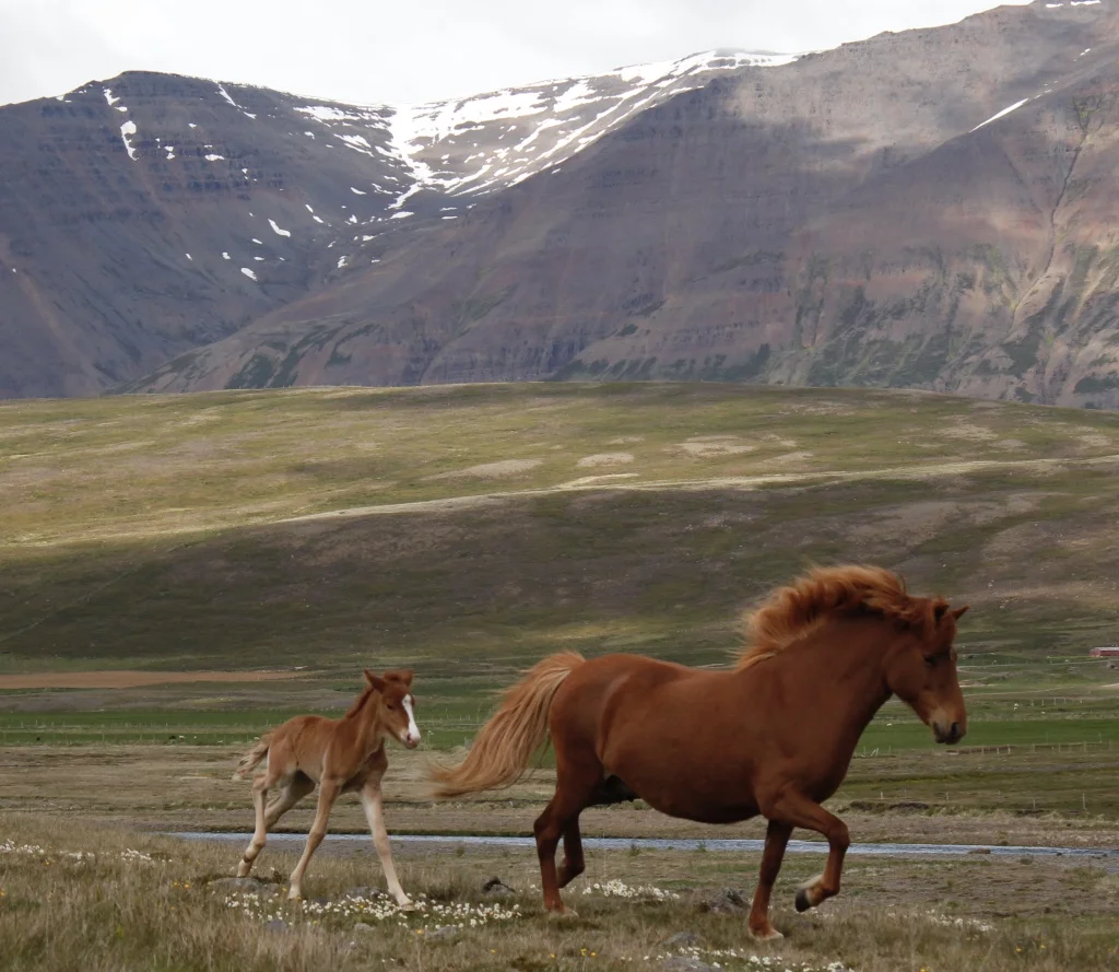 Lukka with her daughter Edda