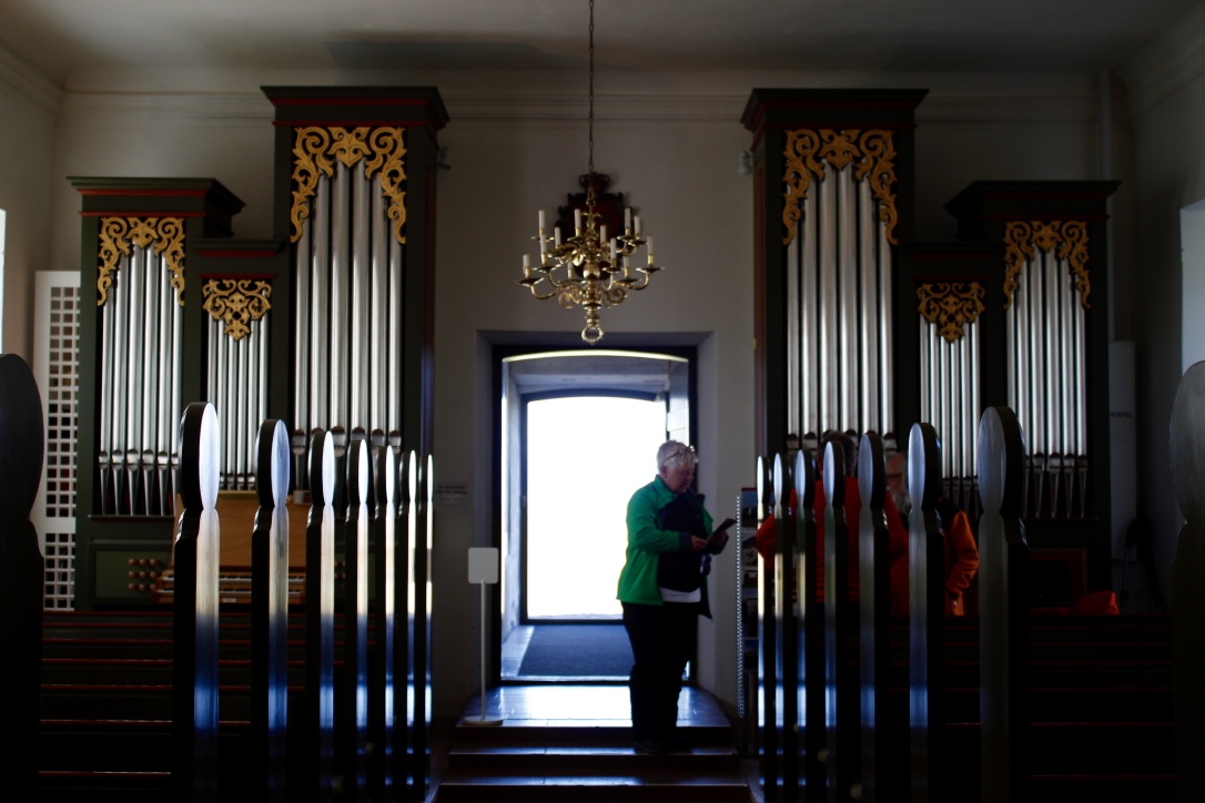 The organ 