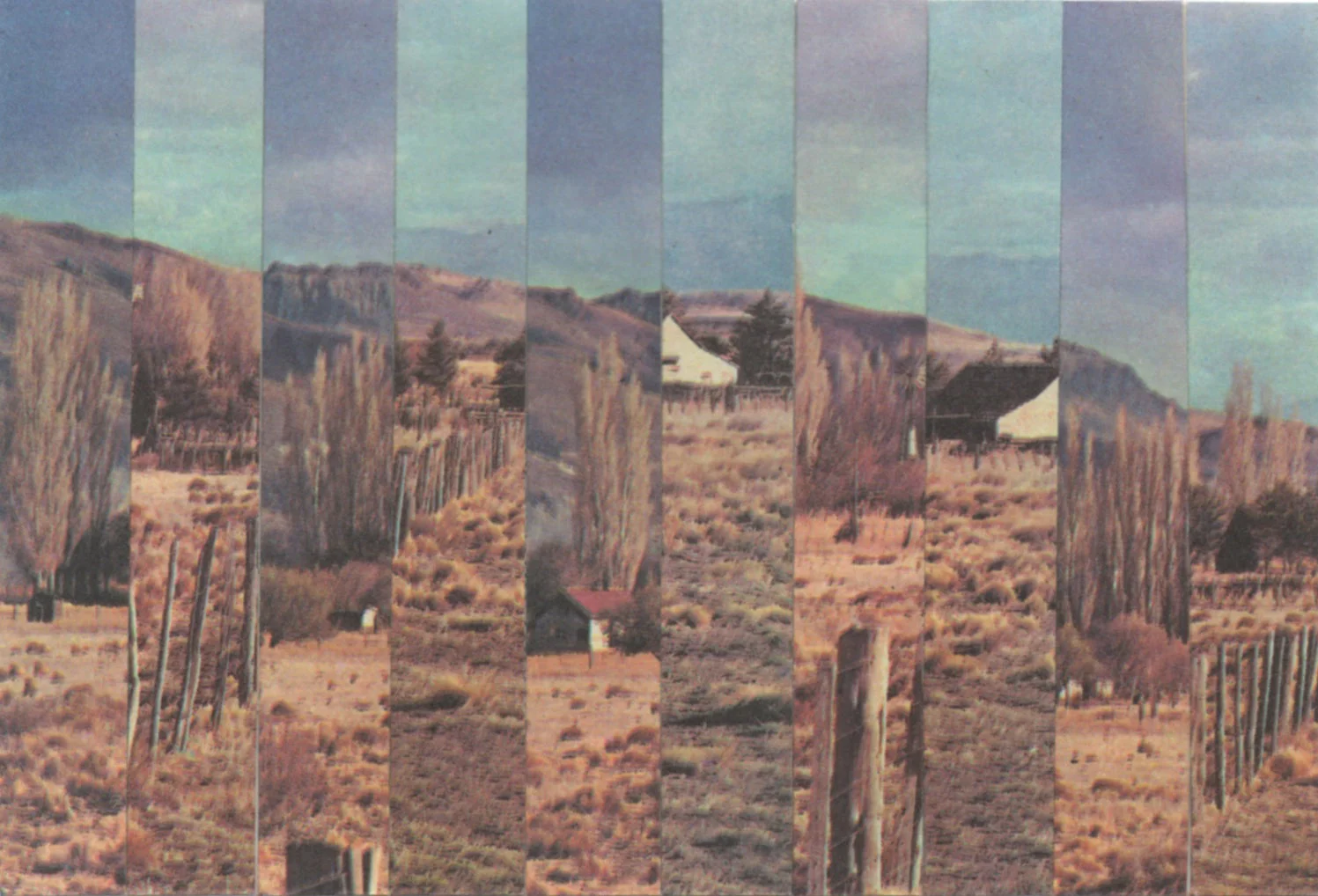 no.001 RED MTN | 2013