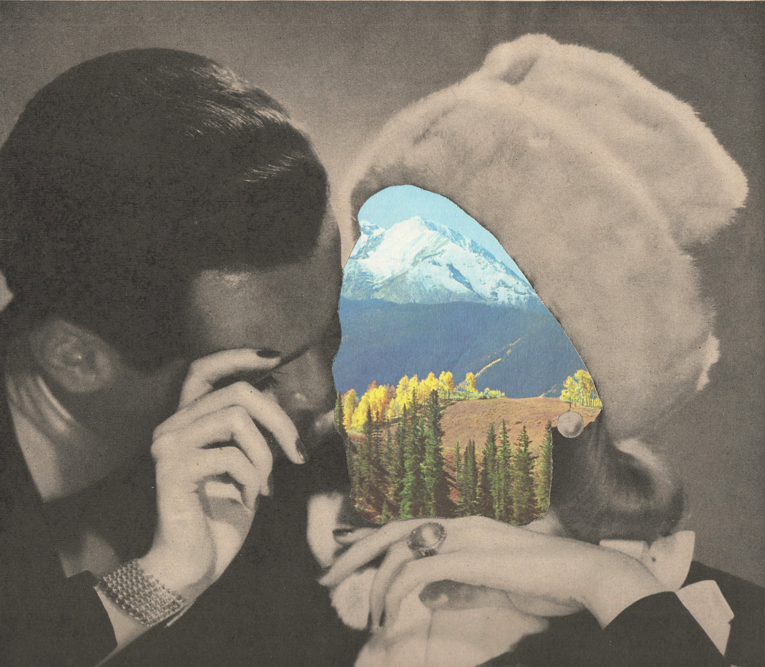 no.003 EVERGREEN | 2014