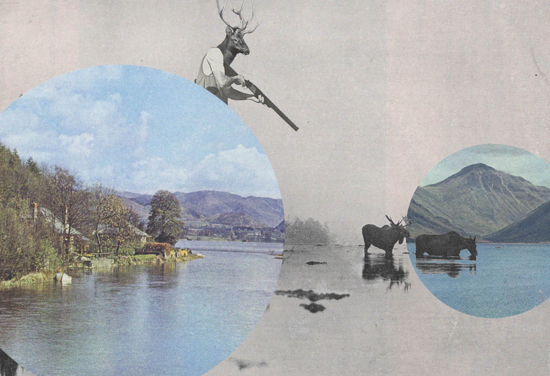 MOOSE HUNT | 2011