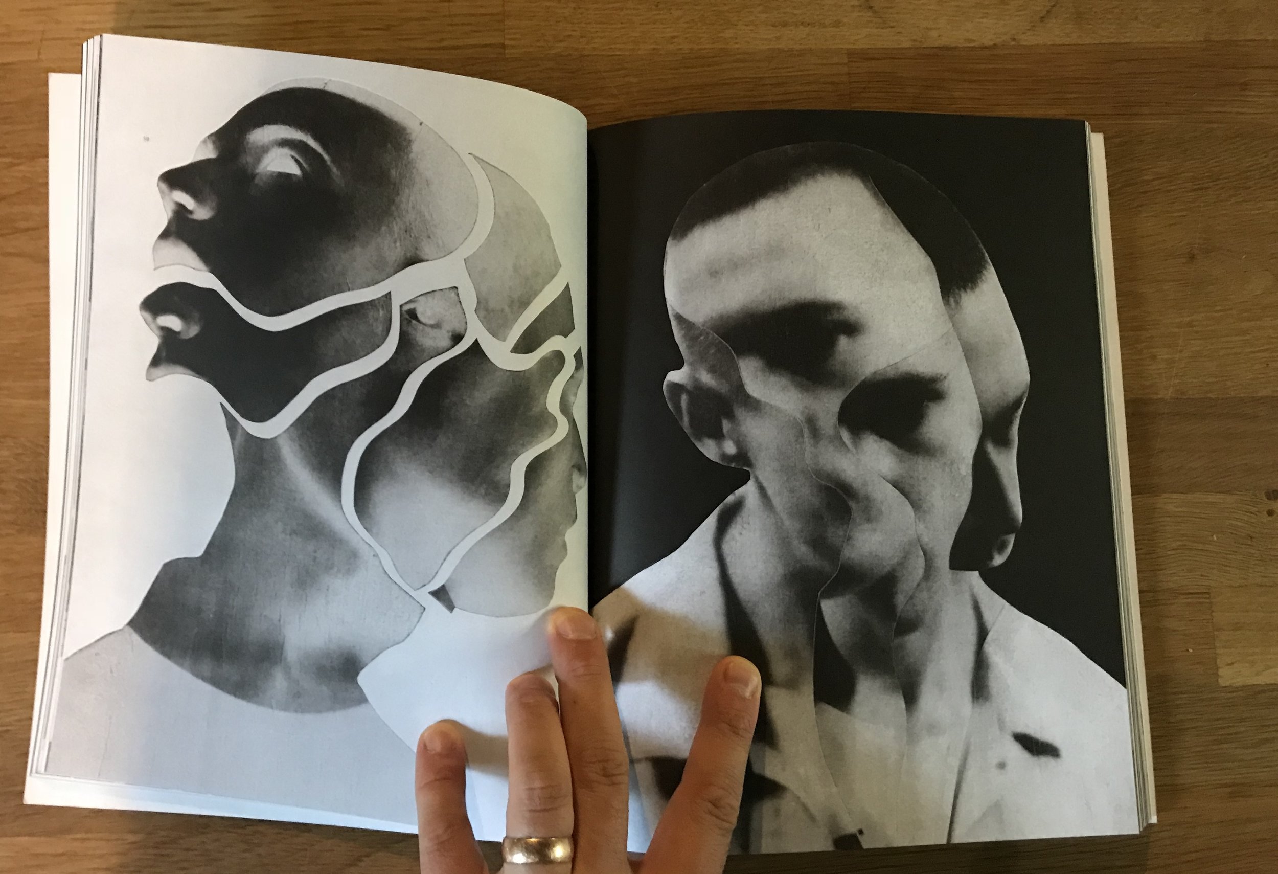 Books about Contemporary Collage — stephen knezovich