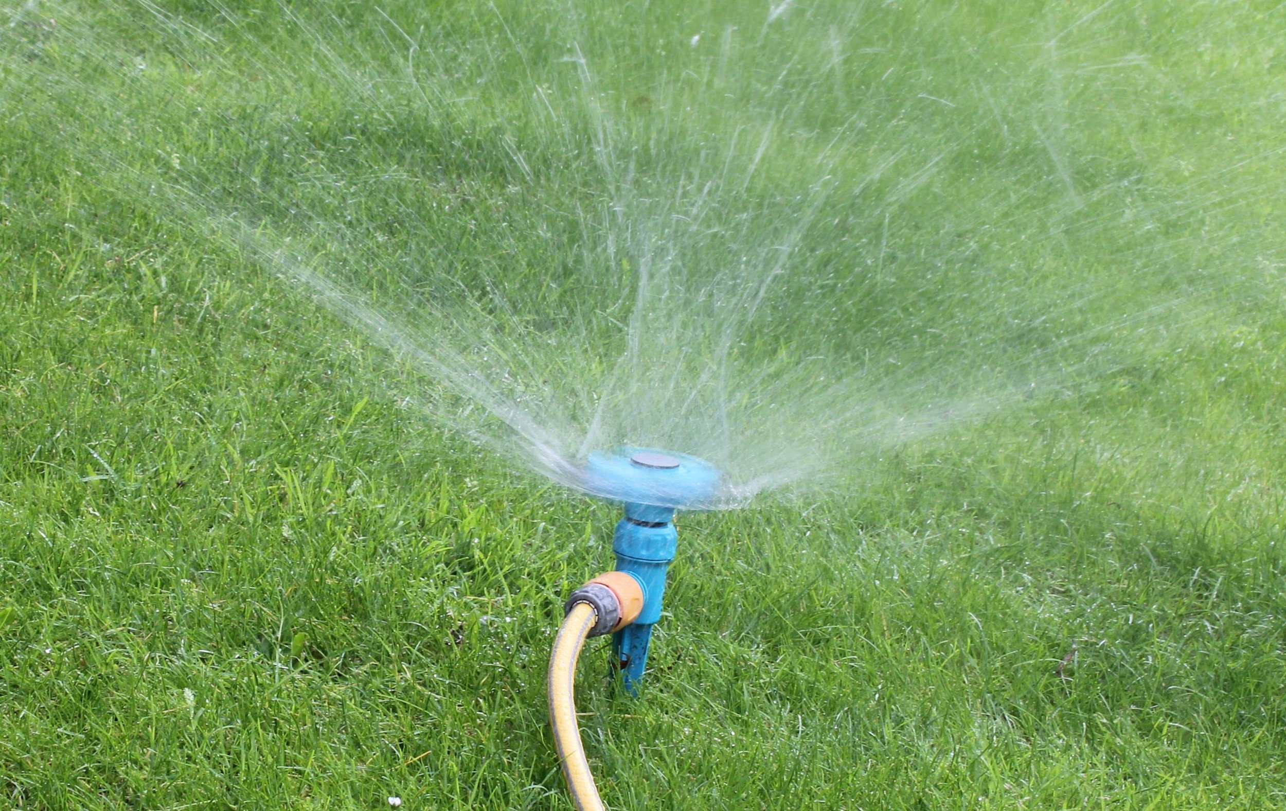 garden-2591363.jpg