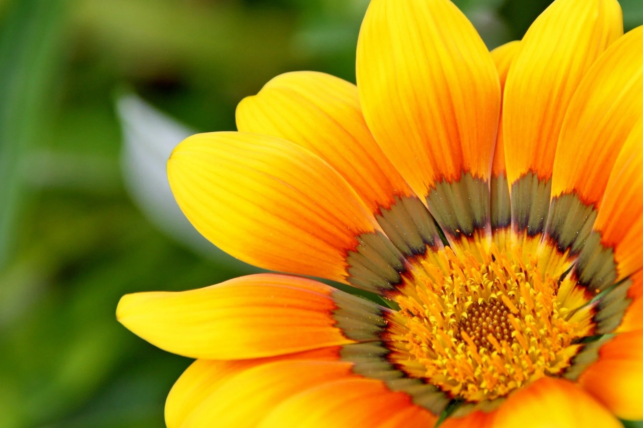 yellow-715540.jpg