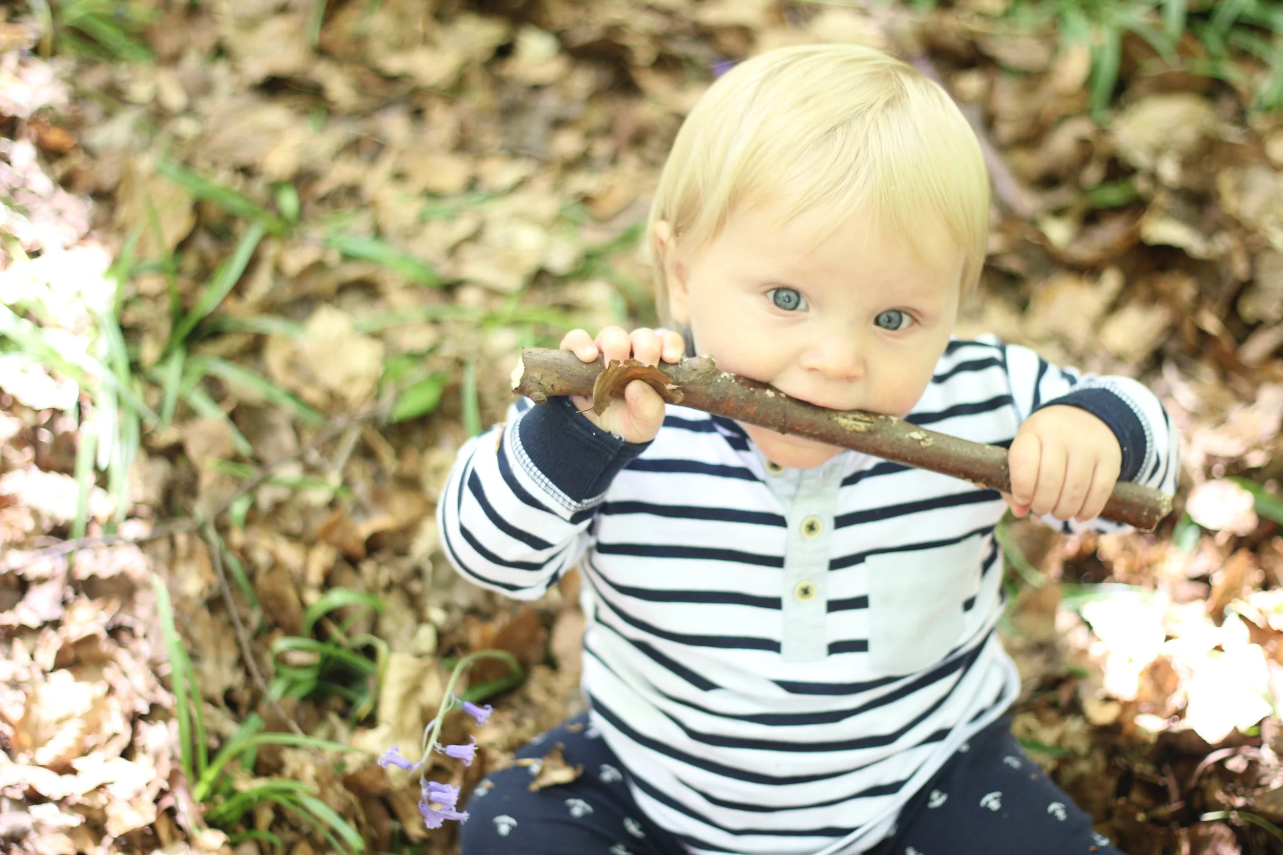 They say never work with children or animals...