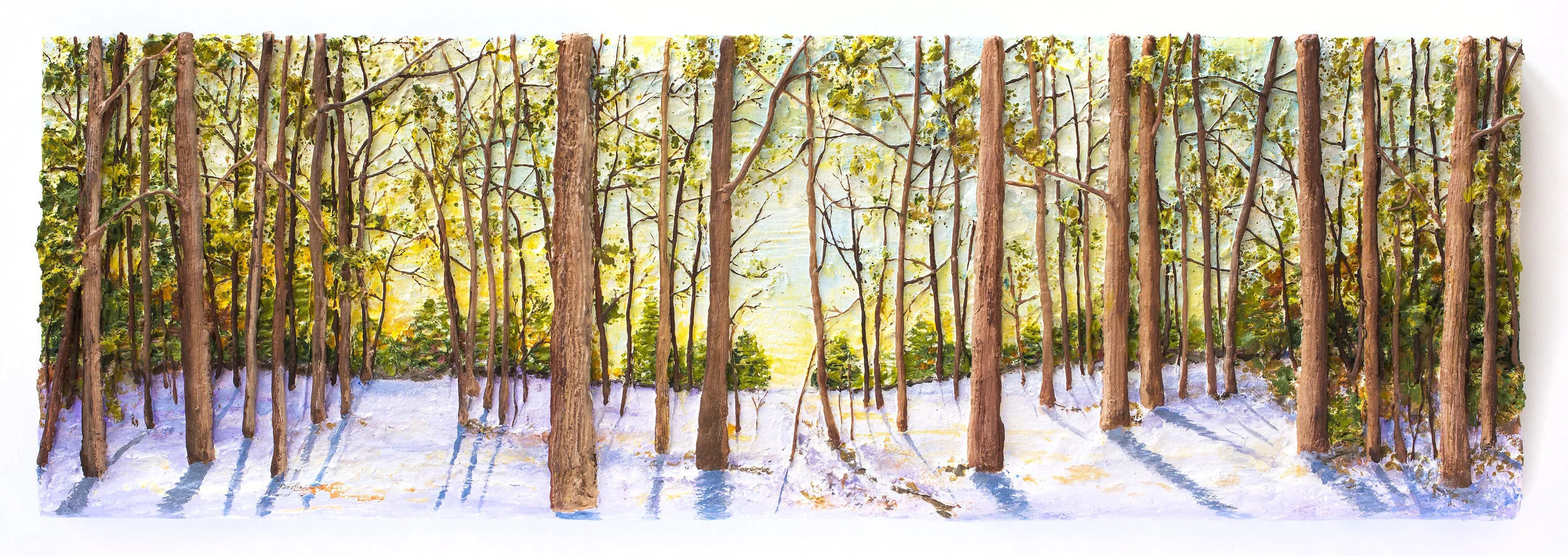 Winter Shadows