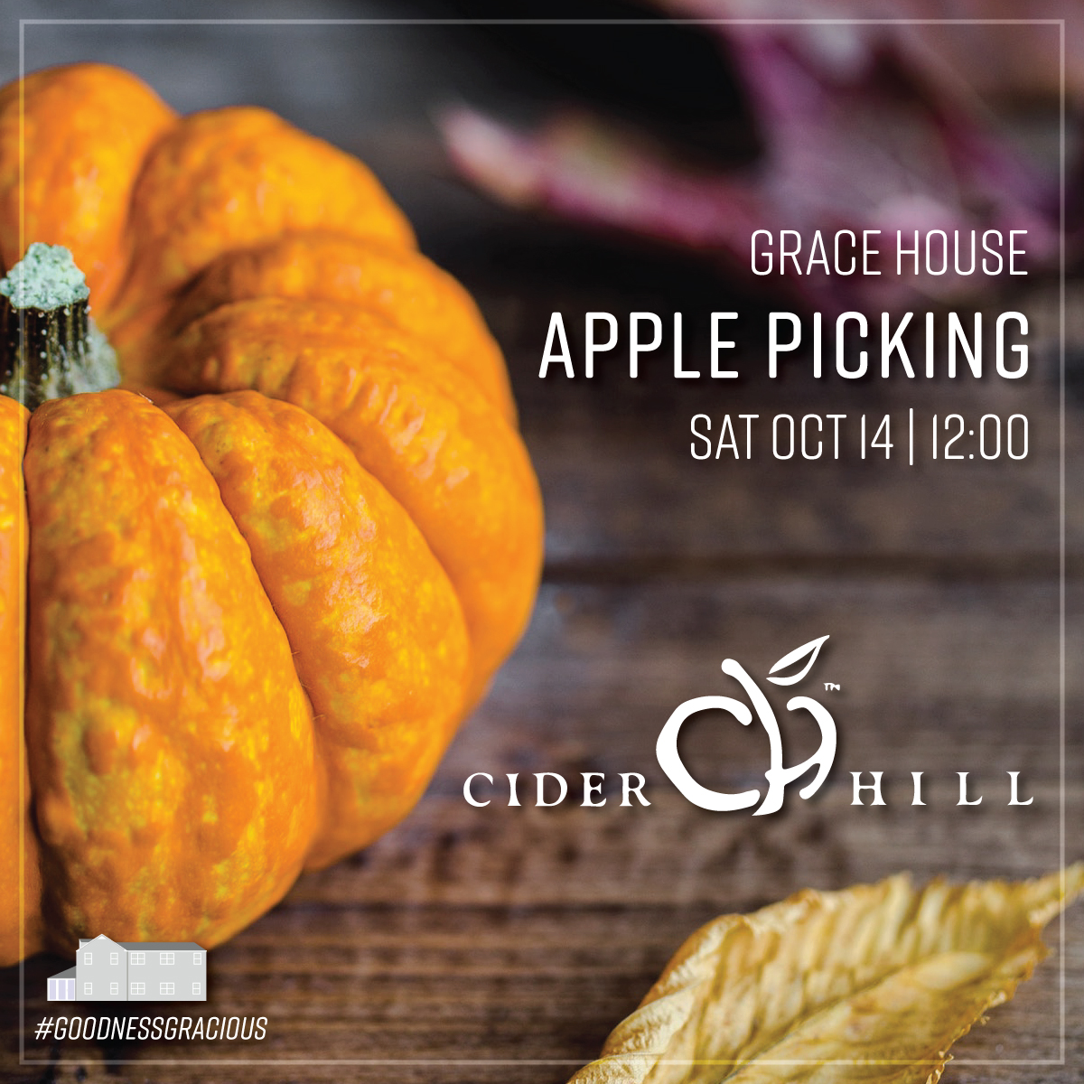 Grace-Apple-Picking.jpg