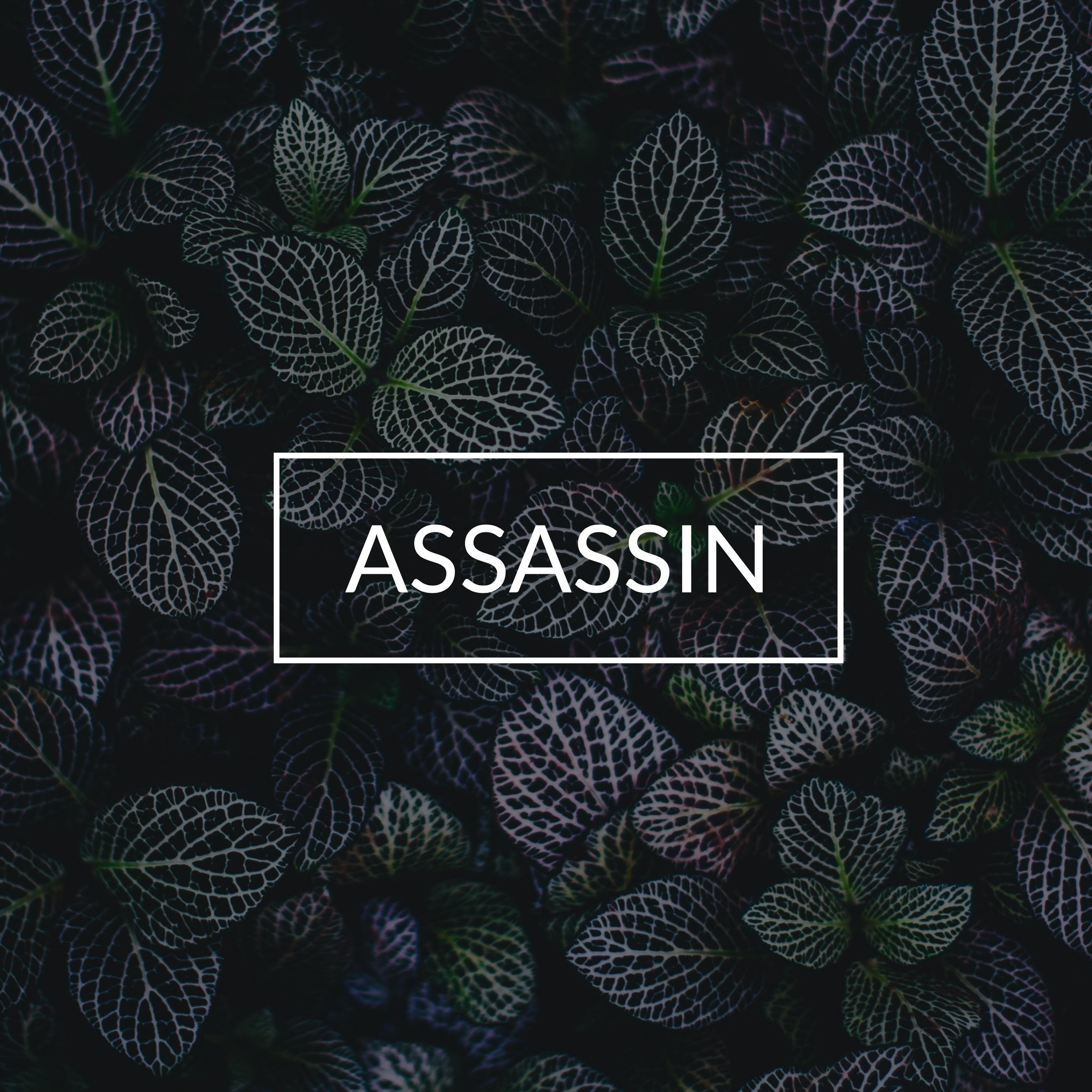 Assassin 1.jpg