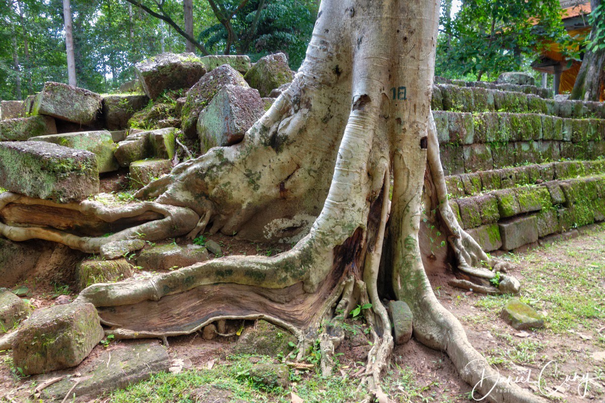 Cambodia_DSC00086.jpeg