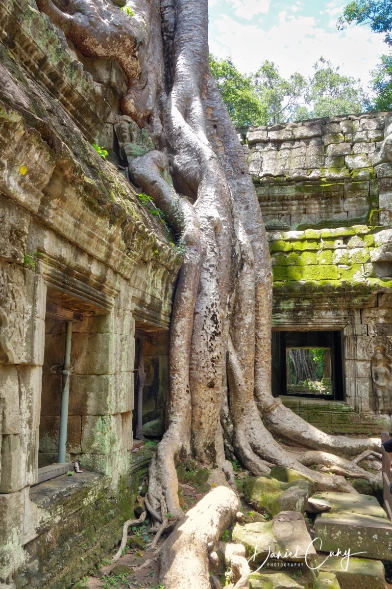 Cambodia_DSC00137.jpeg