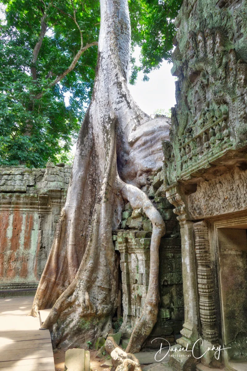 Cambodia_DSC00155.jpeg