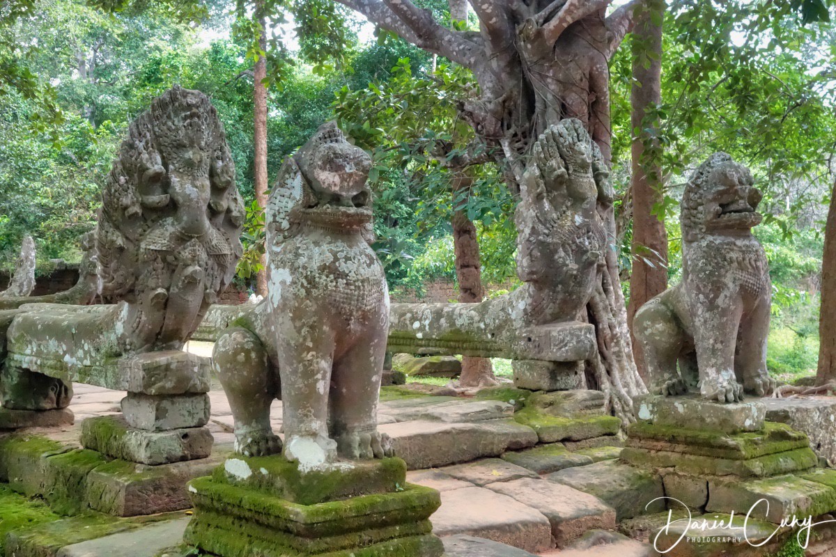 Cambodia_DSC00194 1.jpeg